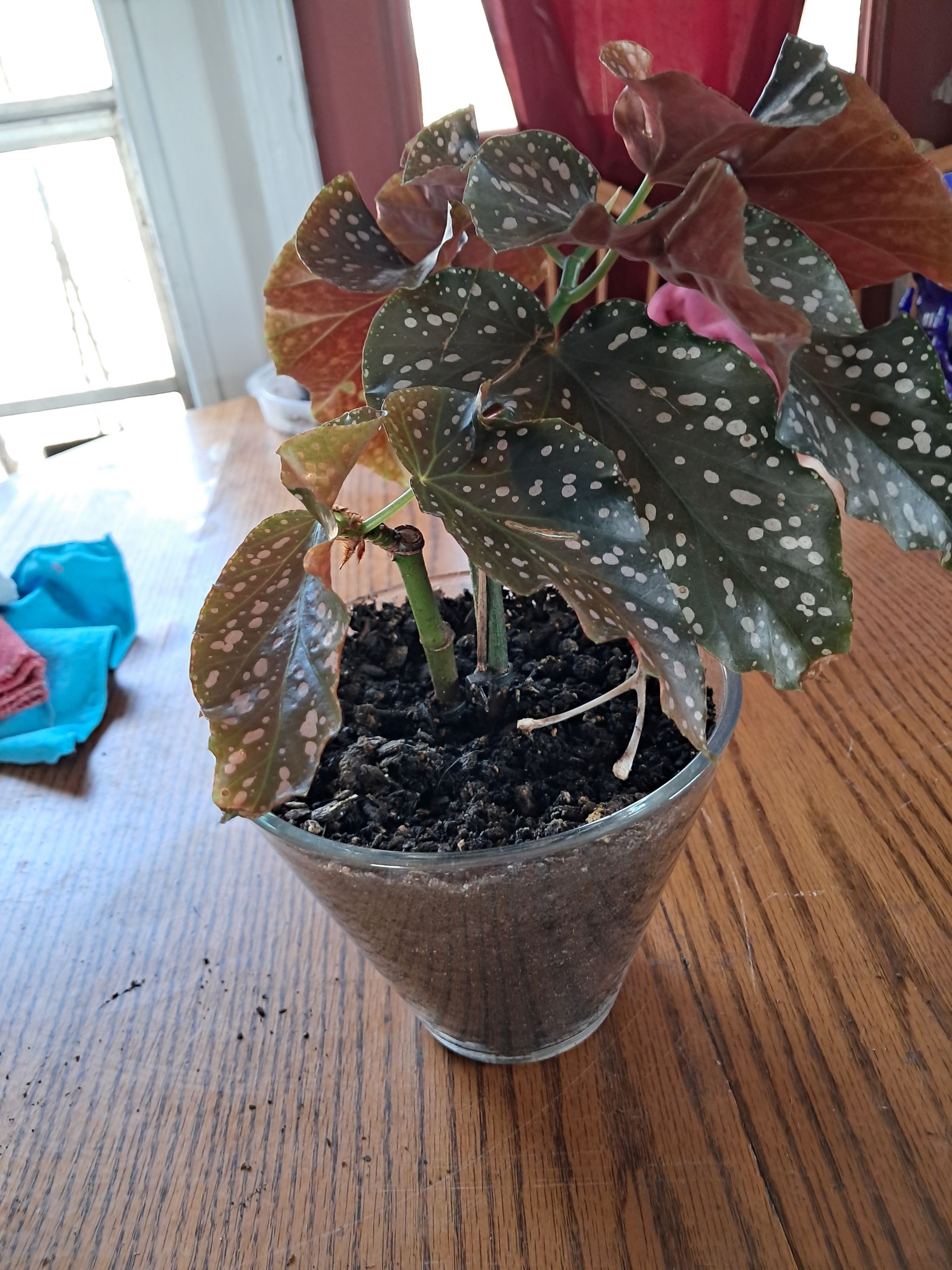 Photo from the post