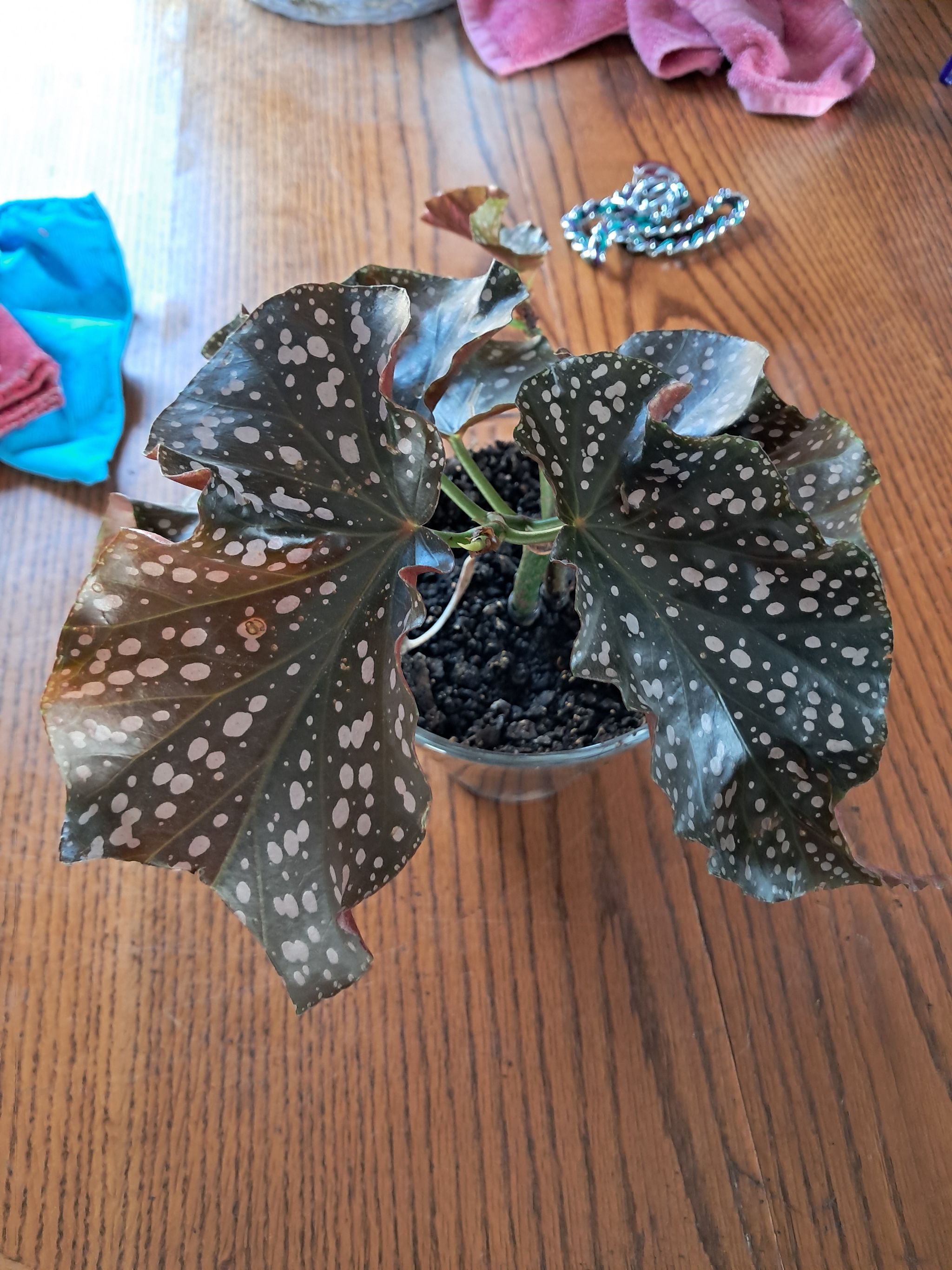 Photo from the post
