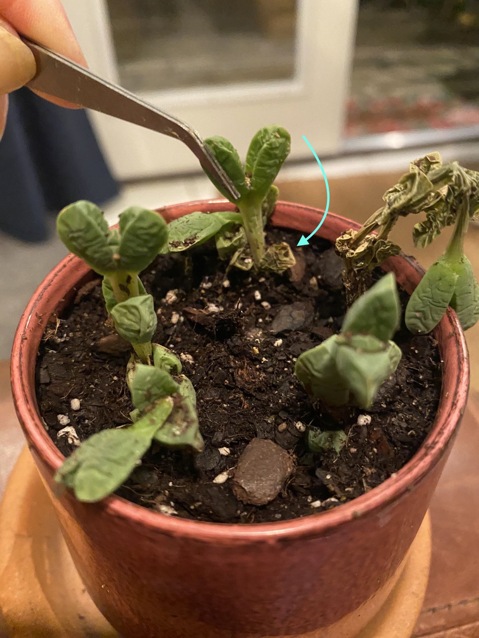 Photo from the post