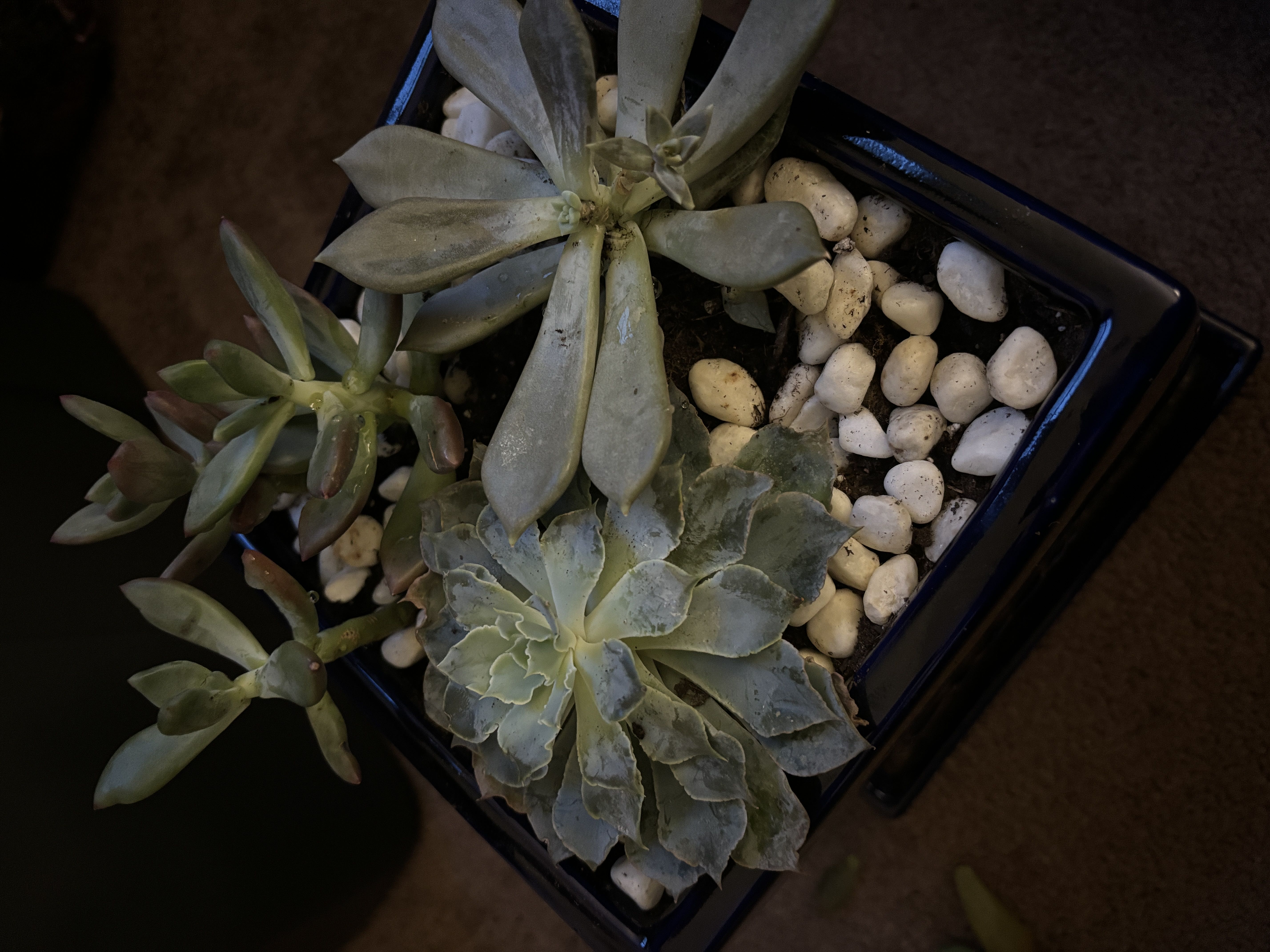 Photo from the post