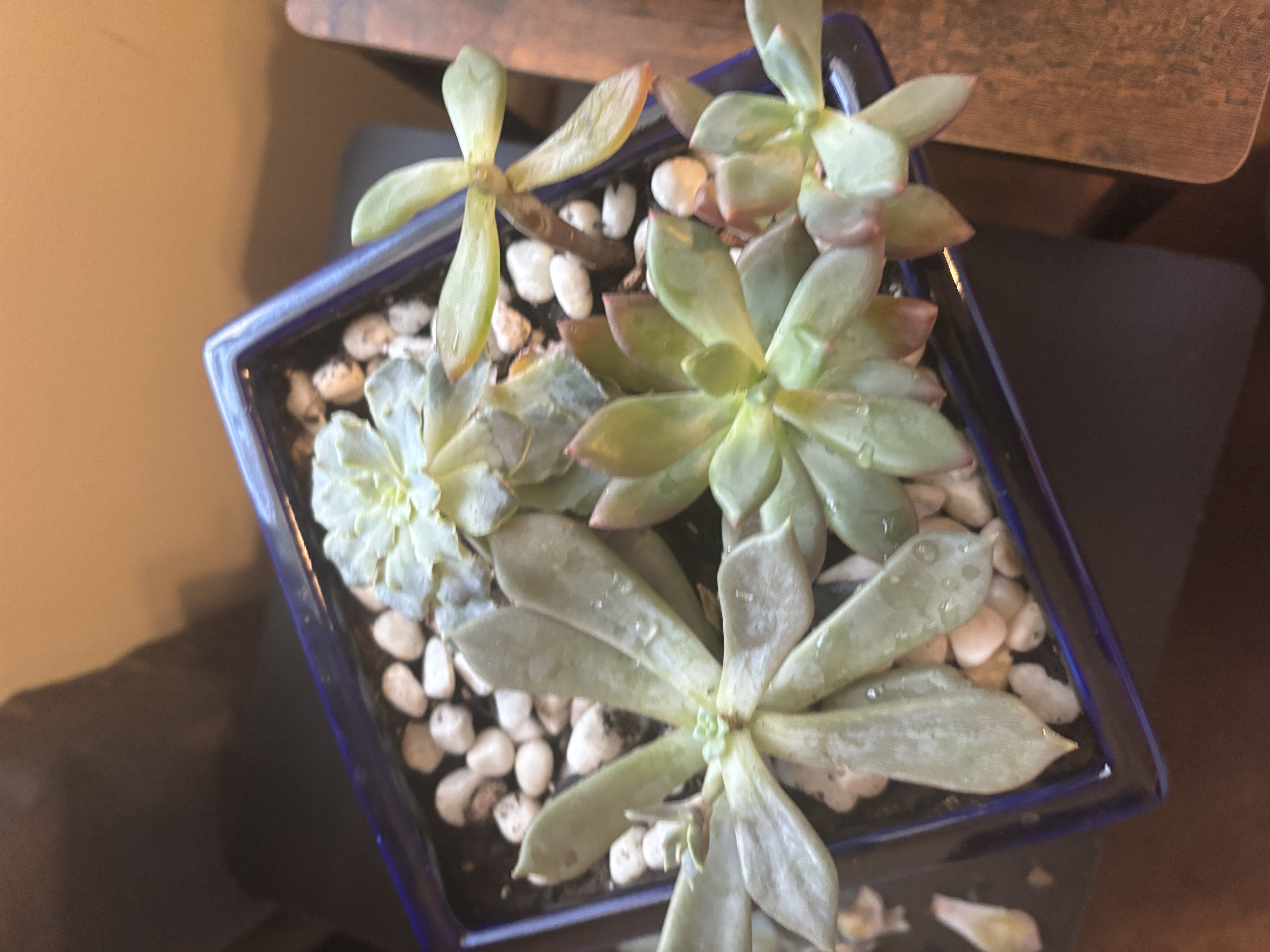 Photo from the post