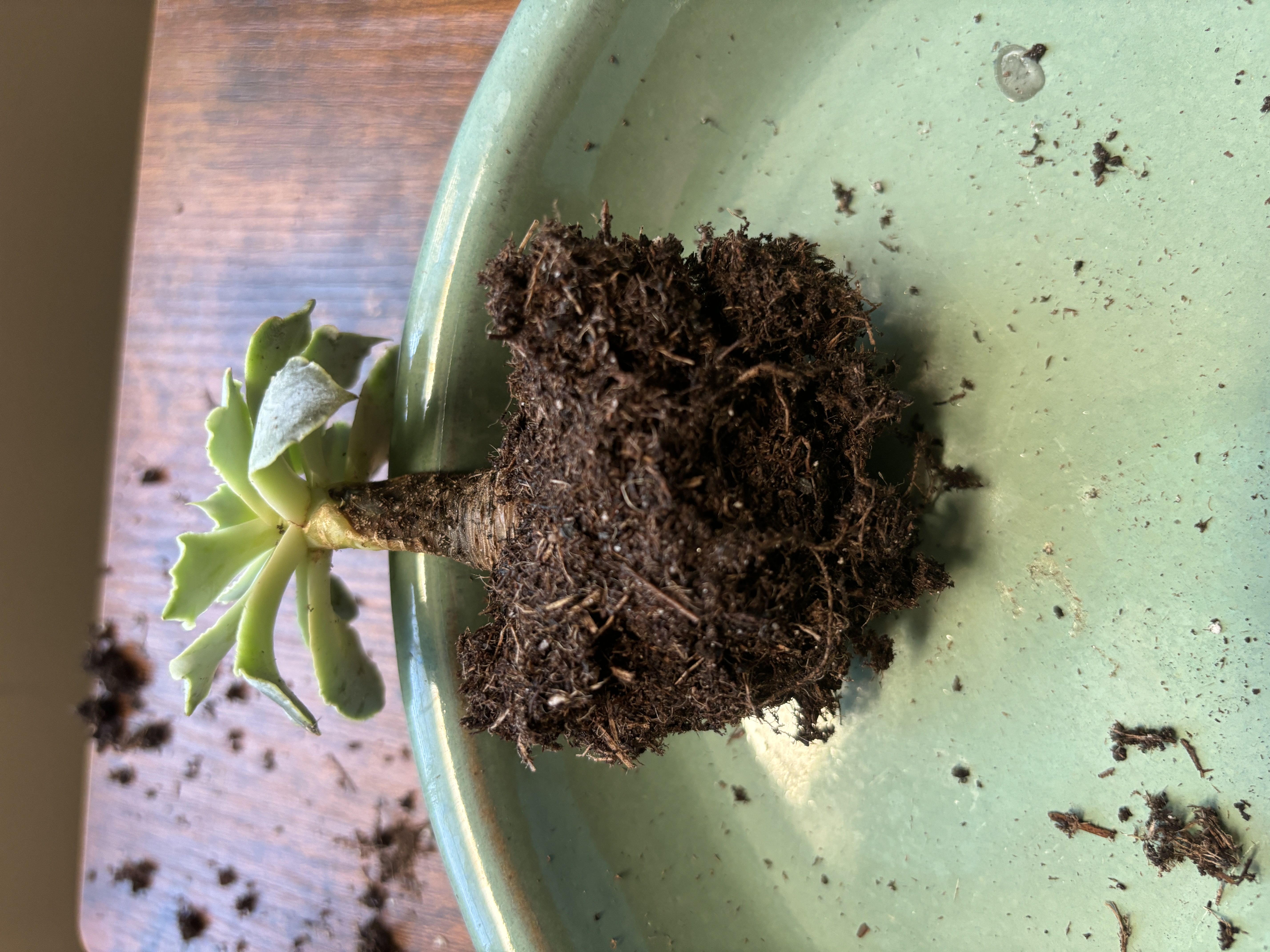Photo from the post