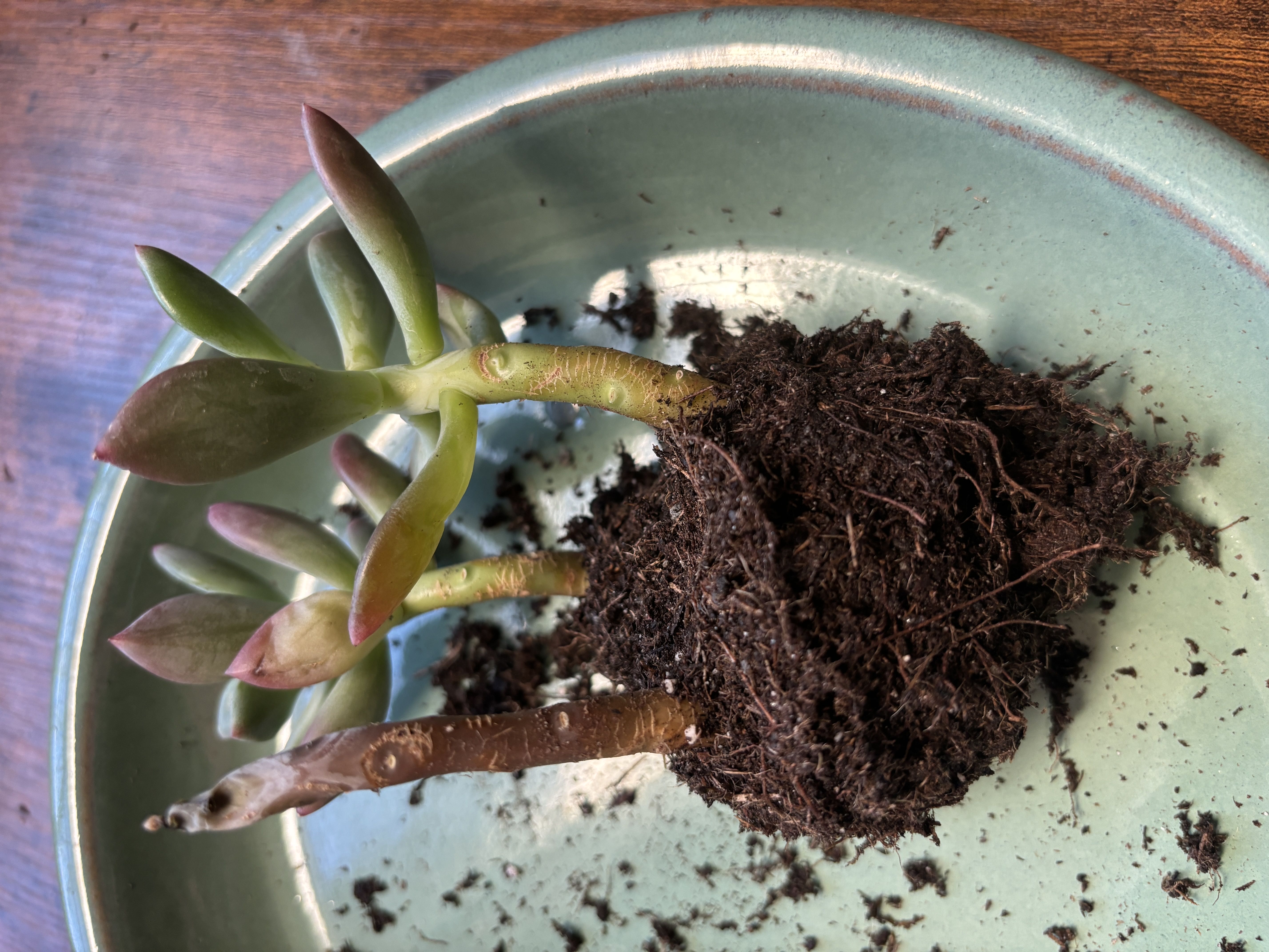 Photo from the post