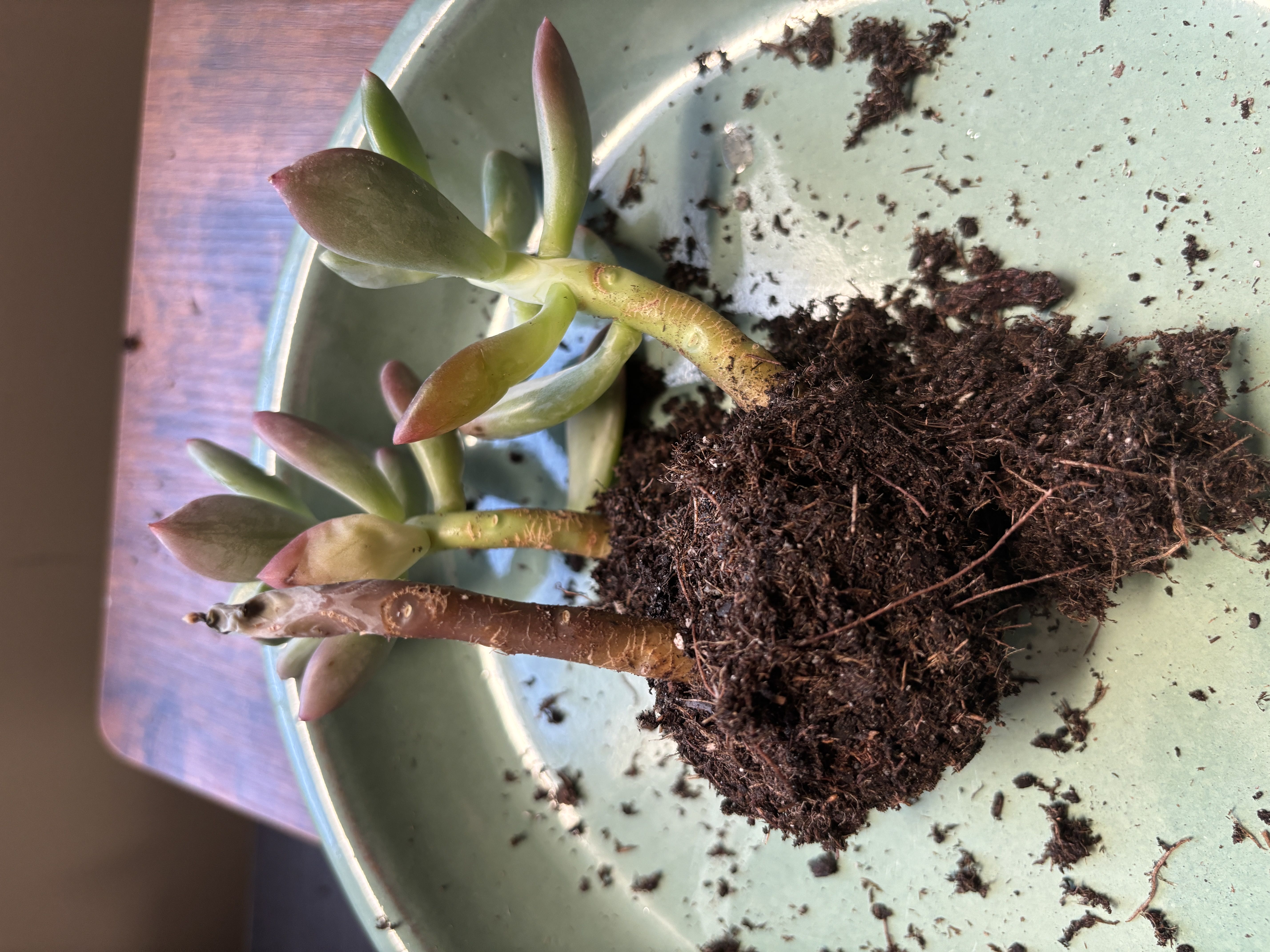 Photo from the post