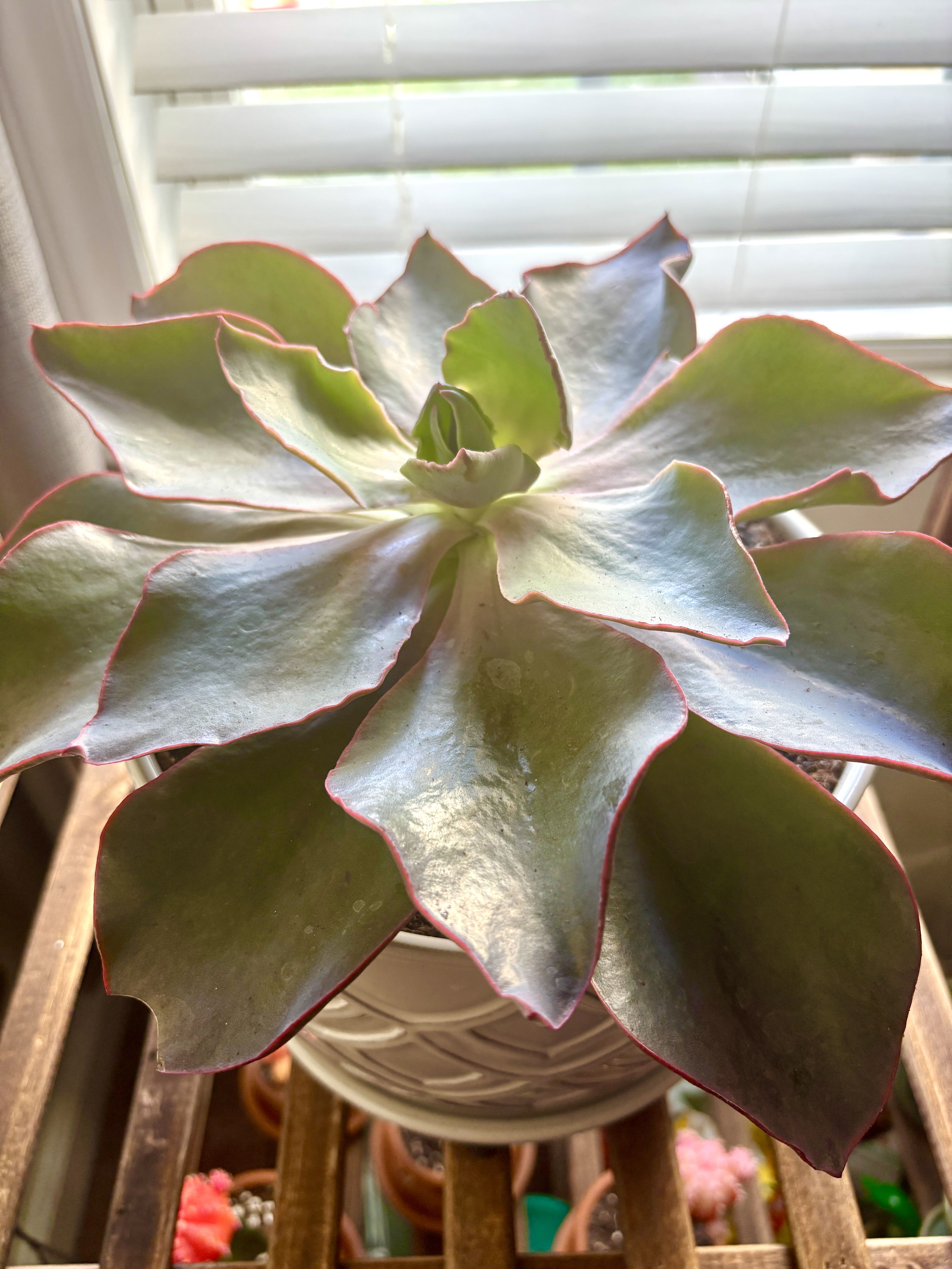Photo from the post