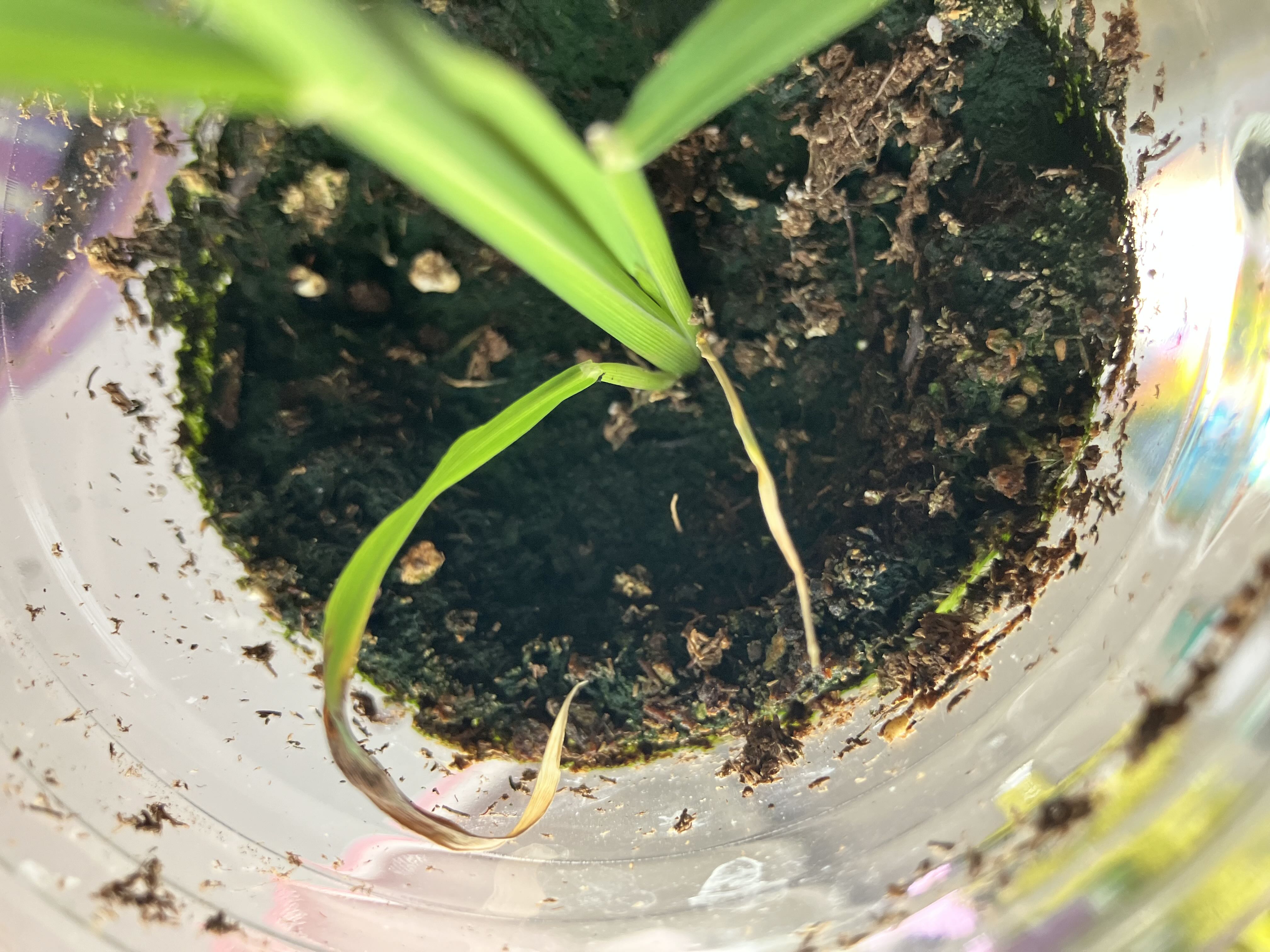Photo from the post