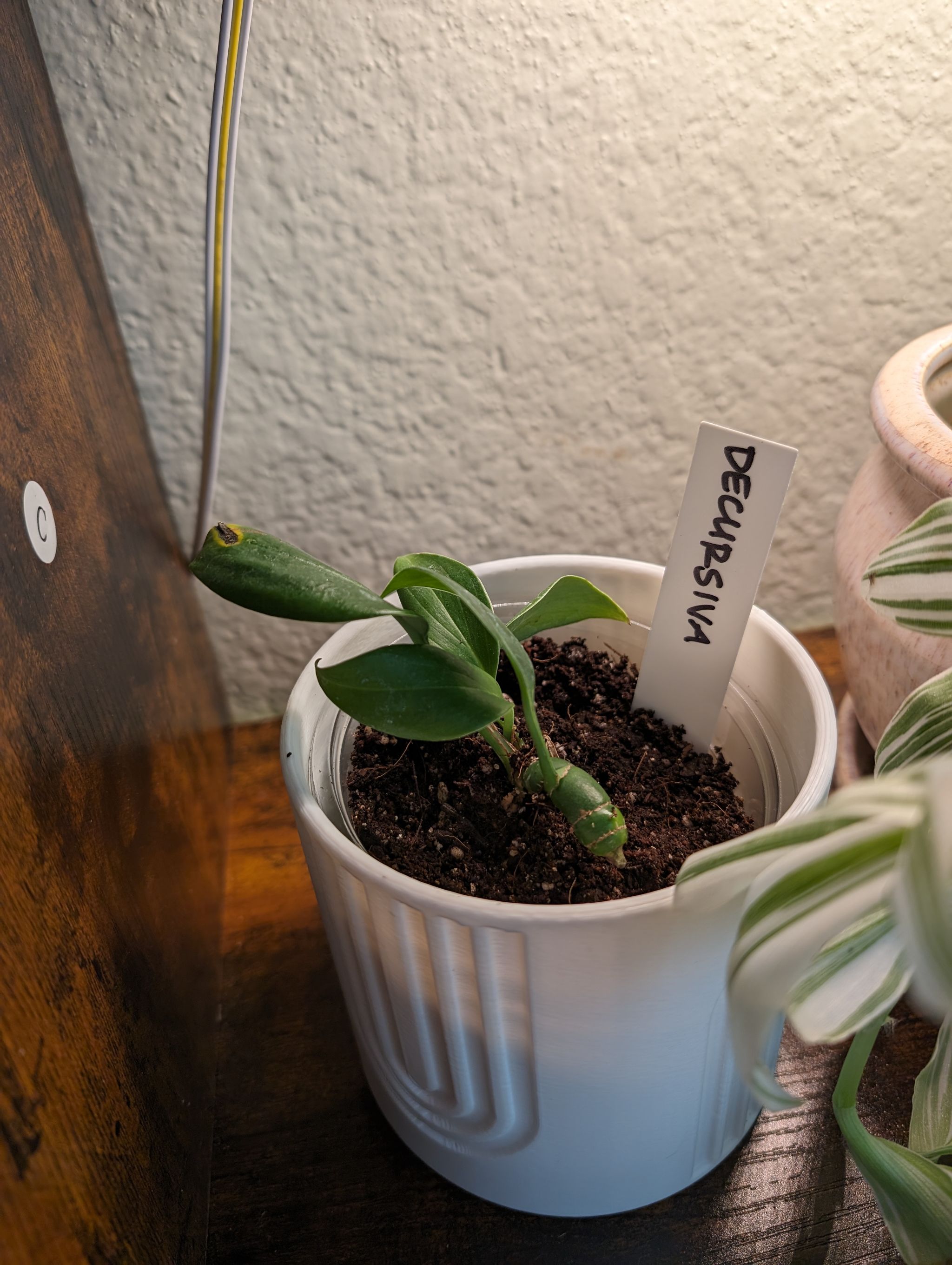 Photo from the post