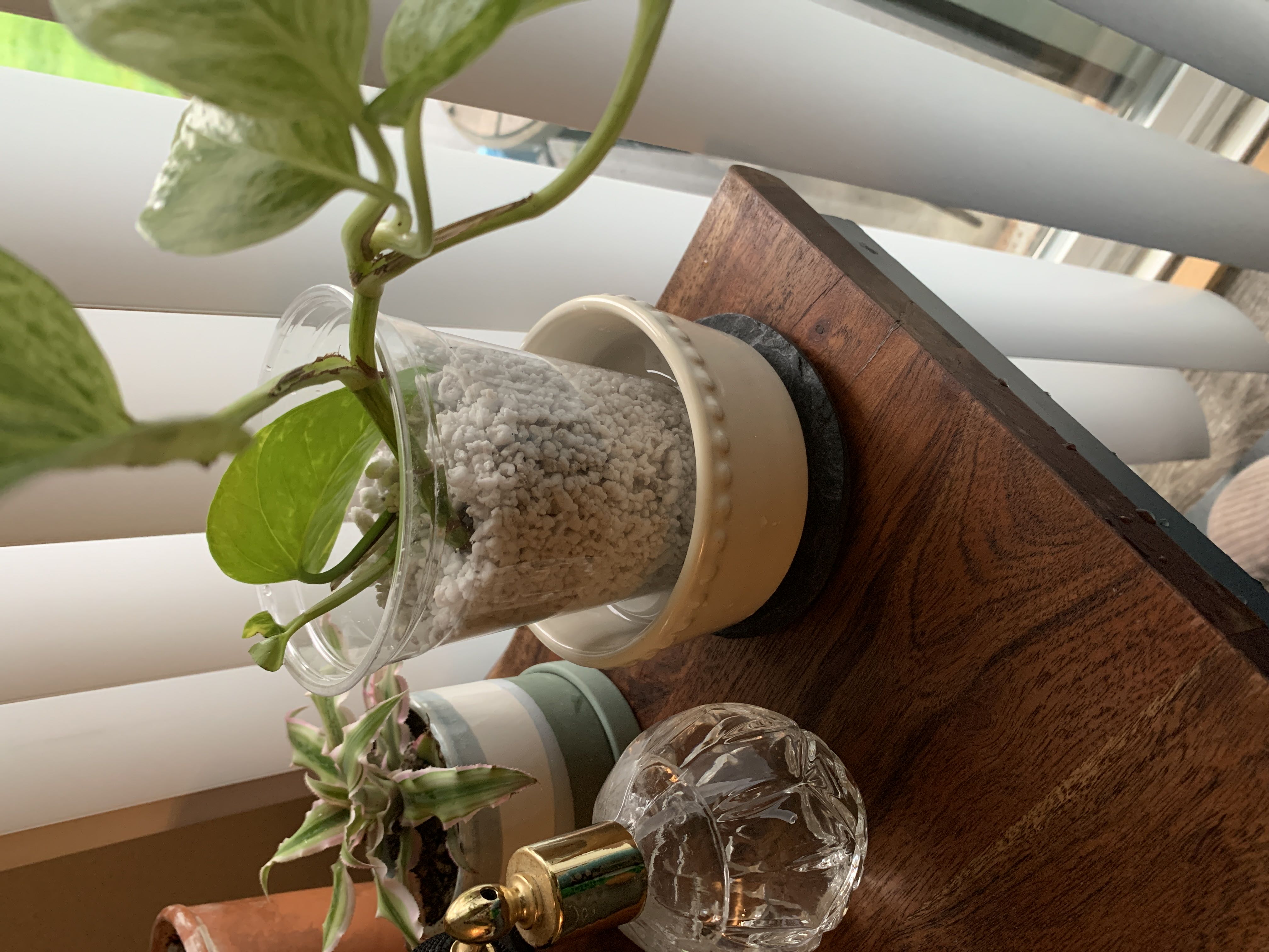 Photo from the post