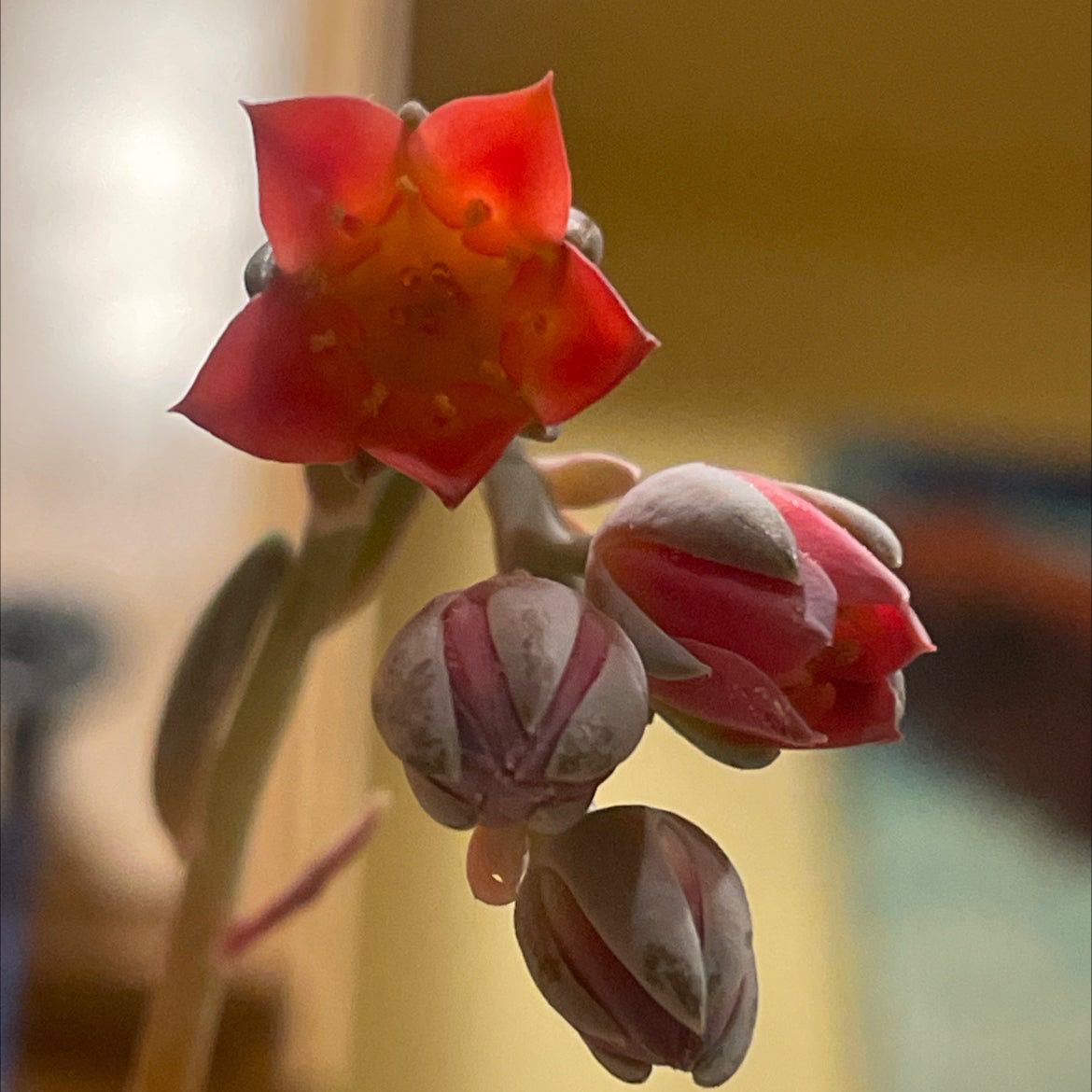 Photo from the post