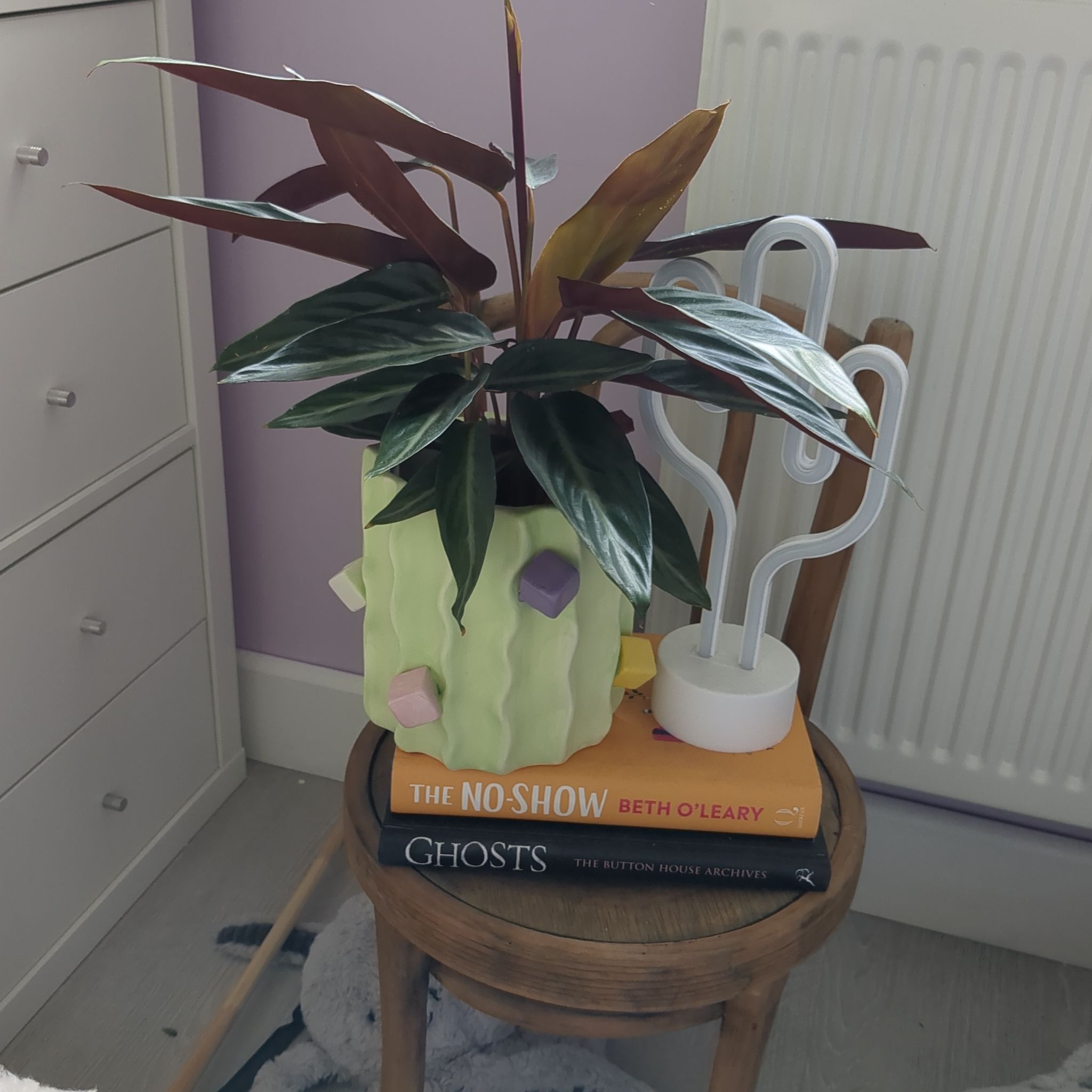 Photo of the plant species prayer plant by @VenerableFern named Shakira on Greg, the plant care app