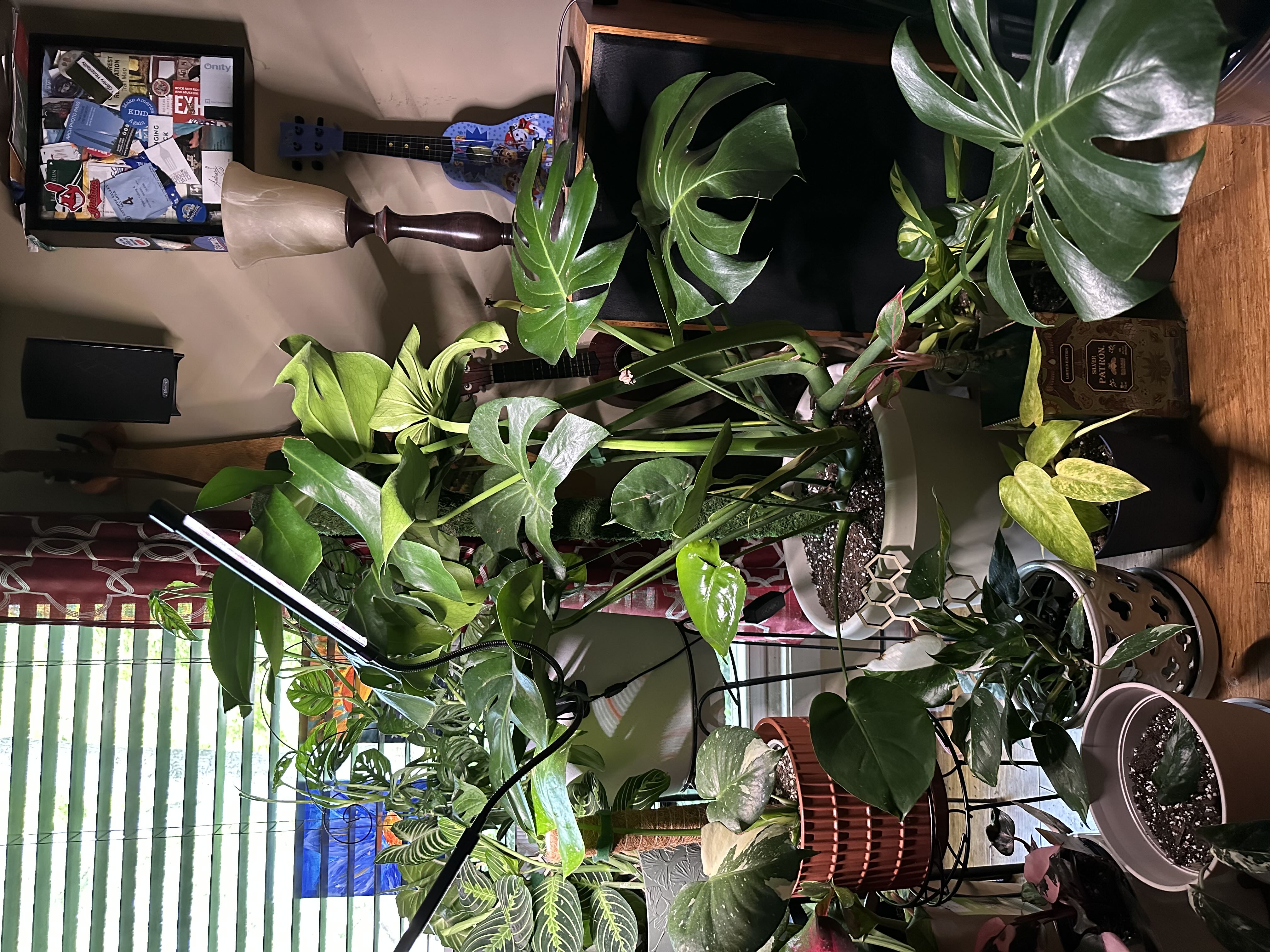 Photo from the post