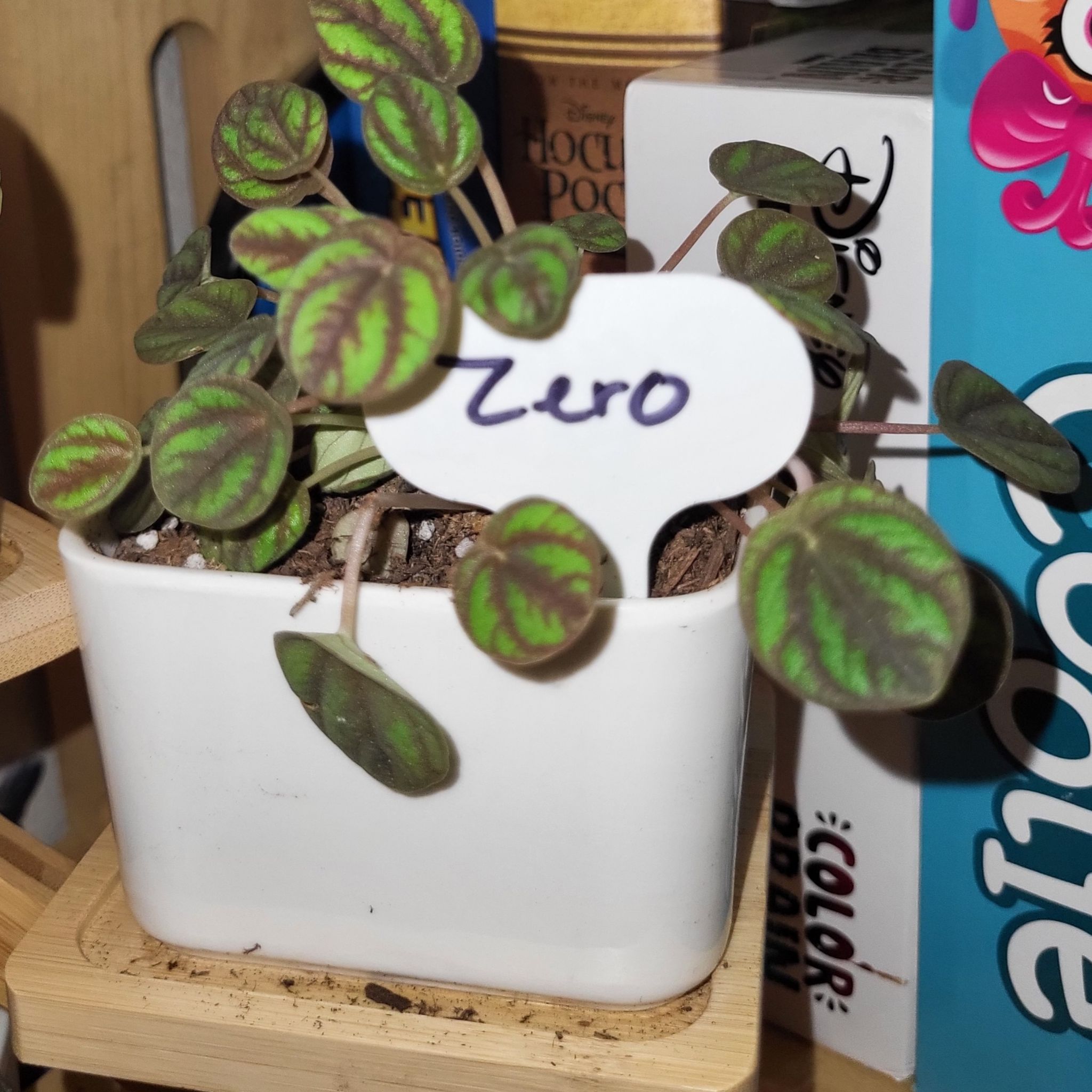 Zero
