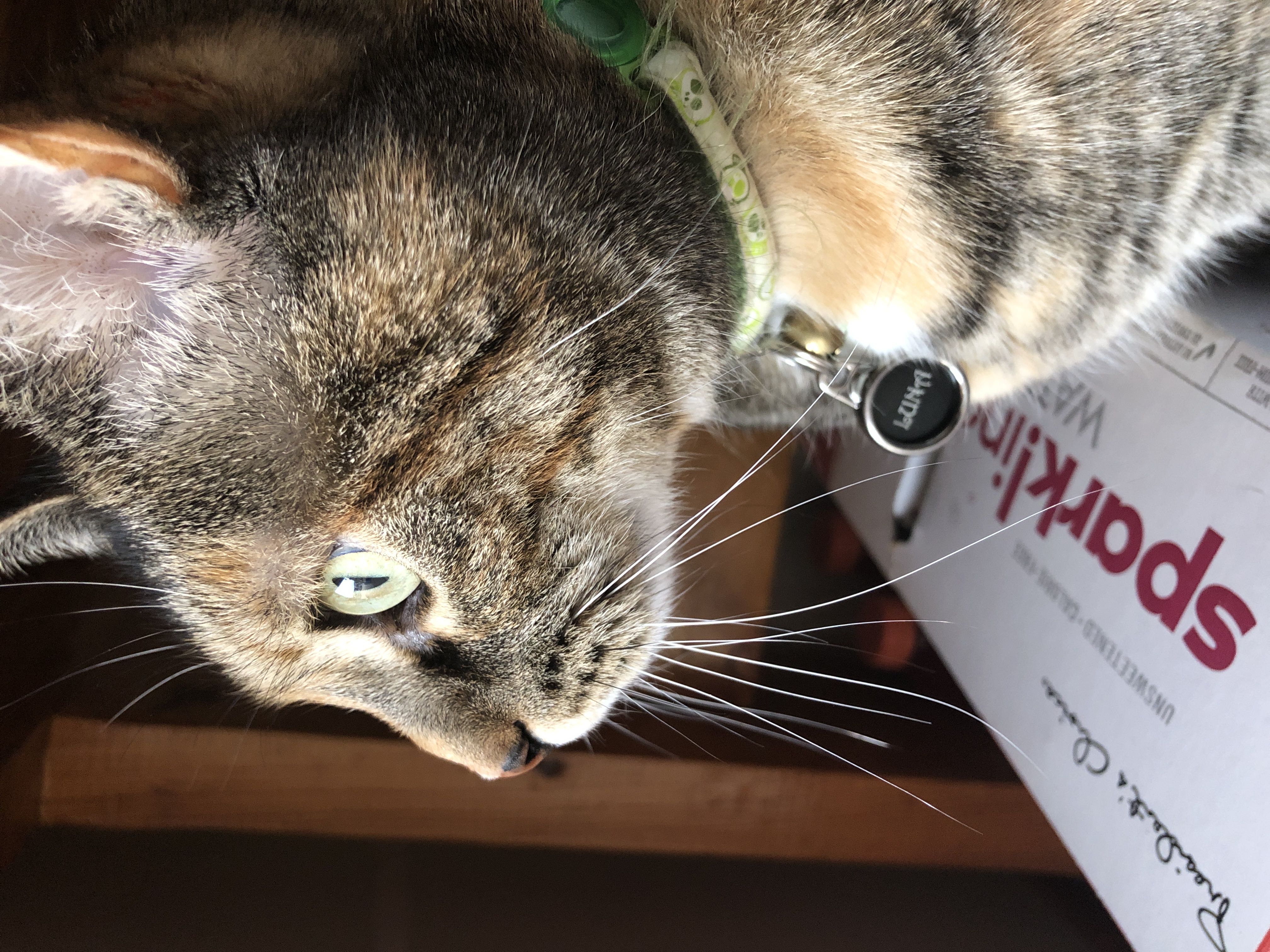 Photo from the post