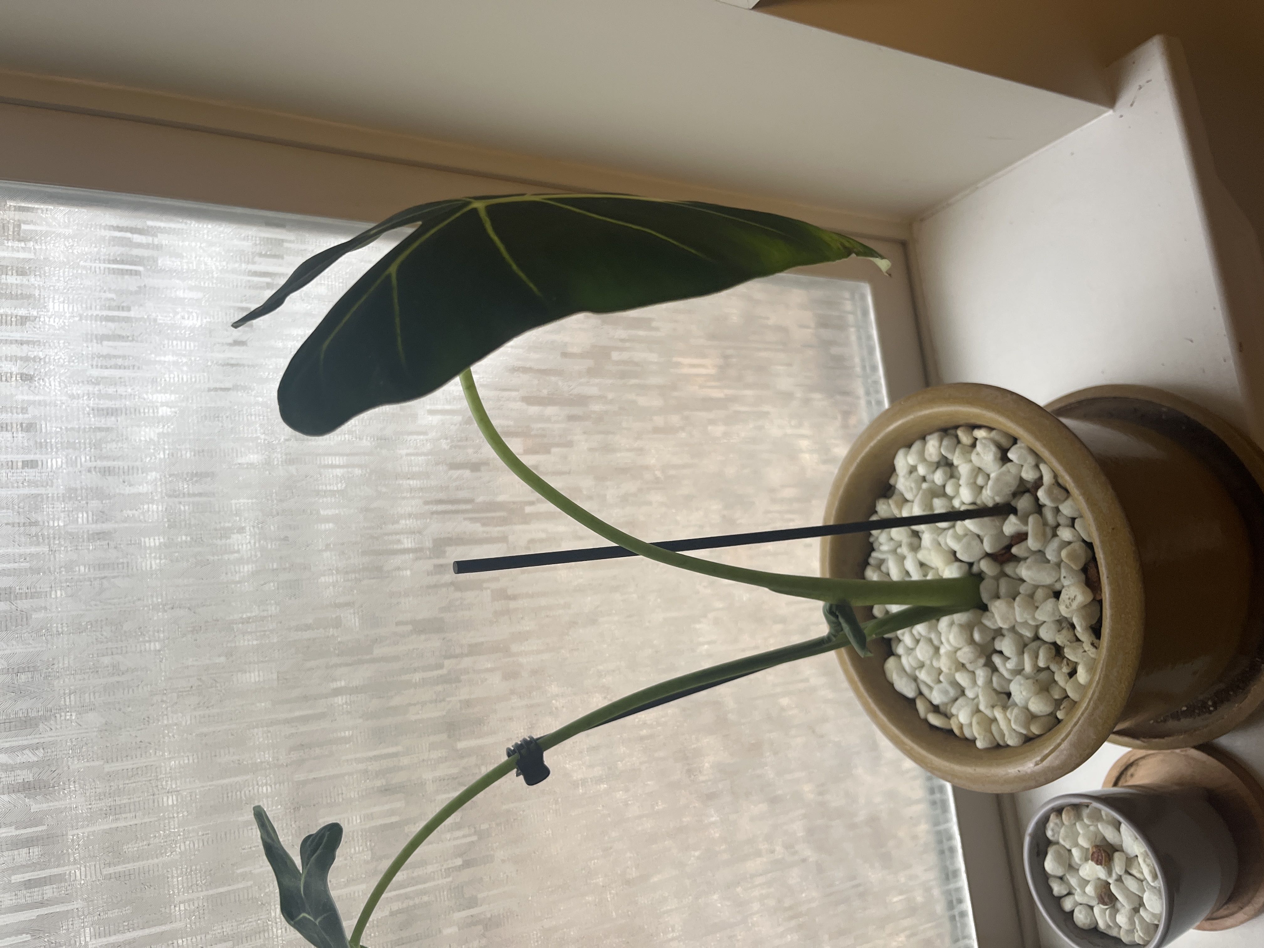 Photo from the post