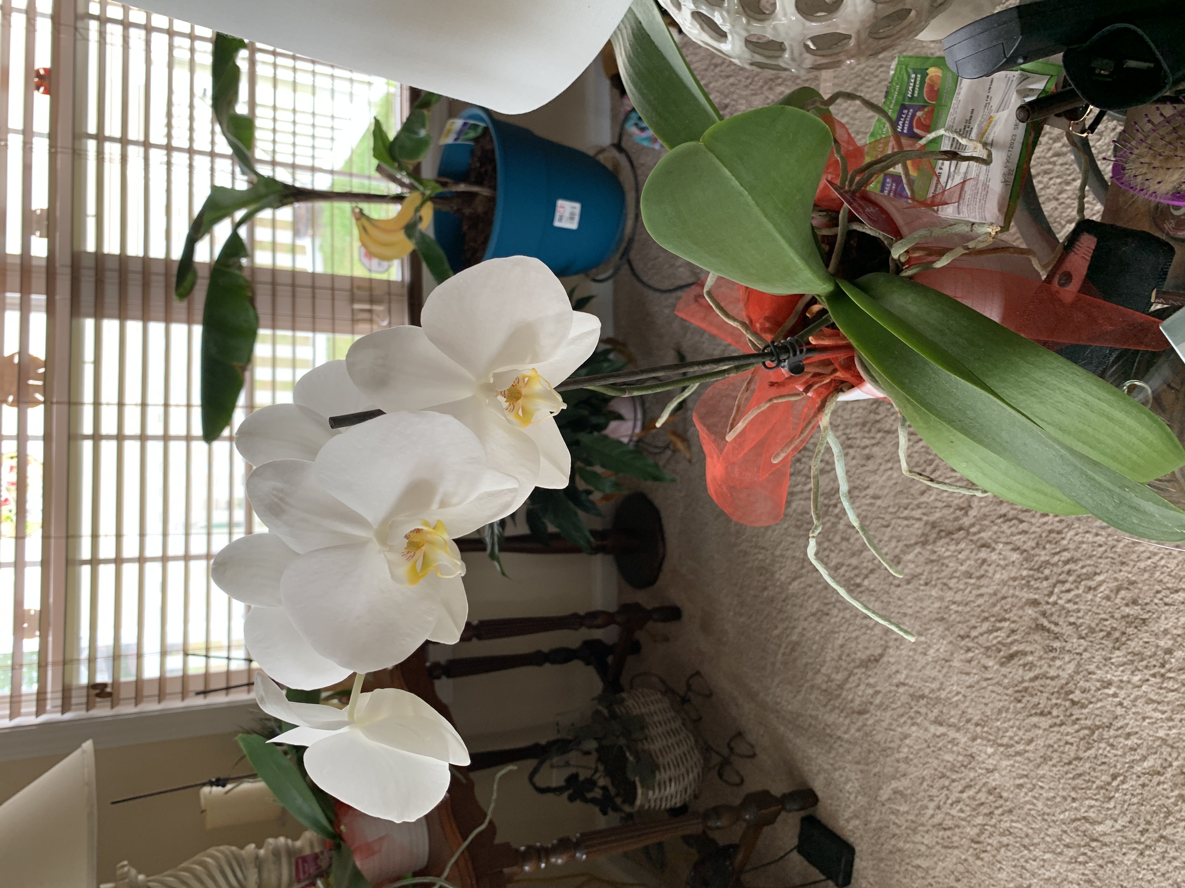 Photo from the post