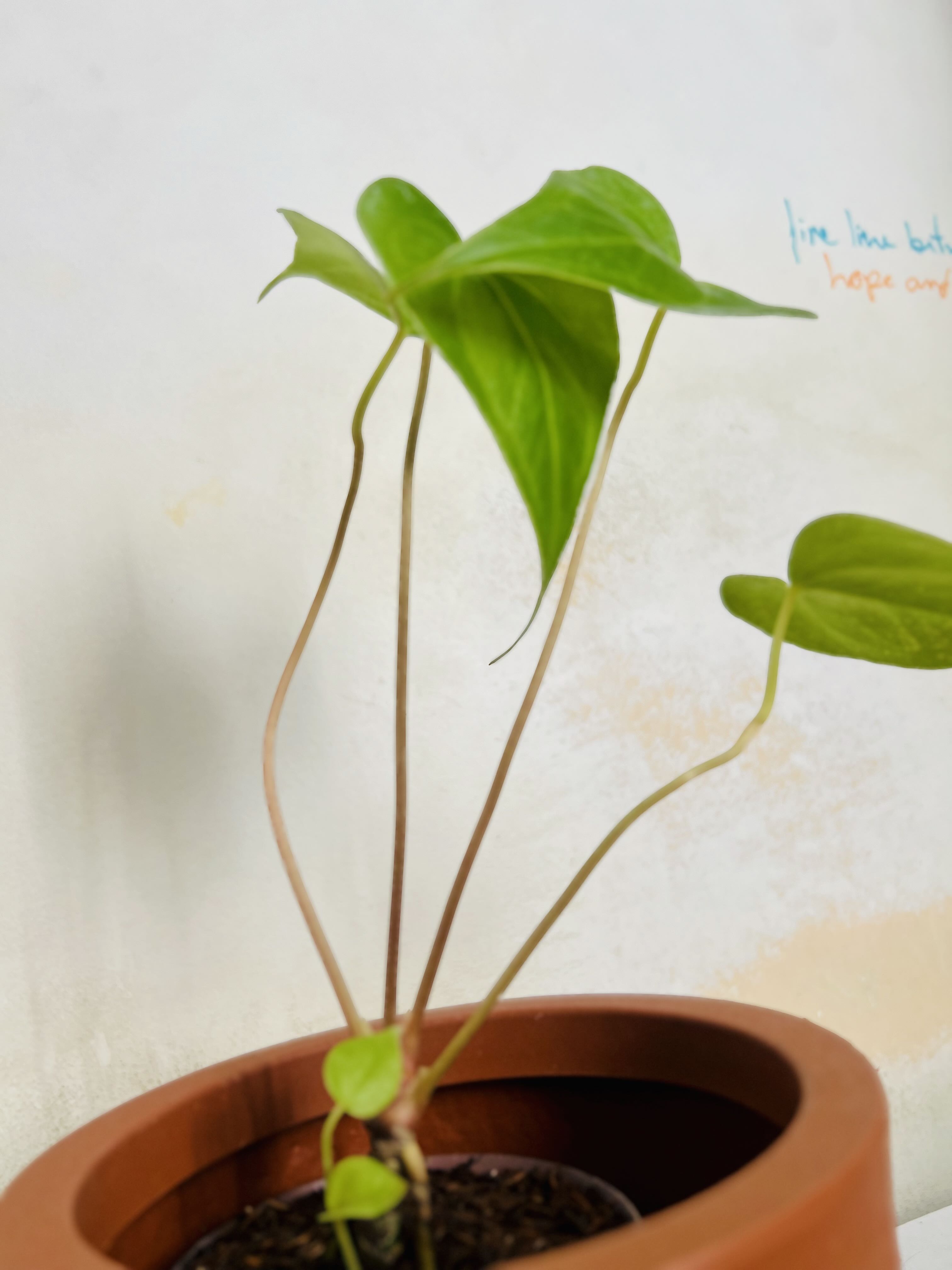 Photo from the post