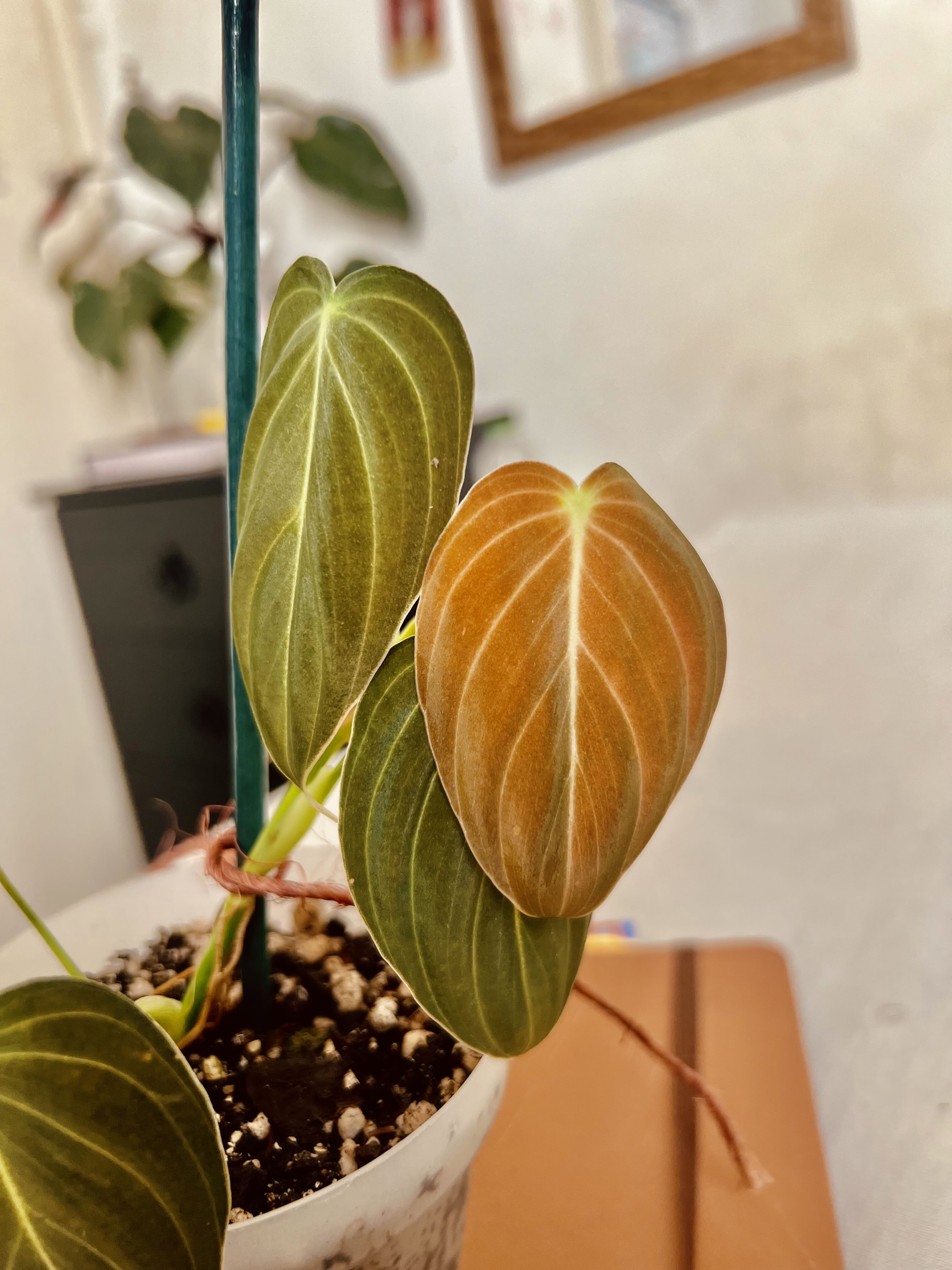 Photo from the post