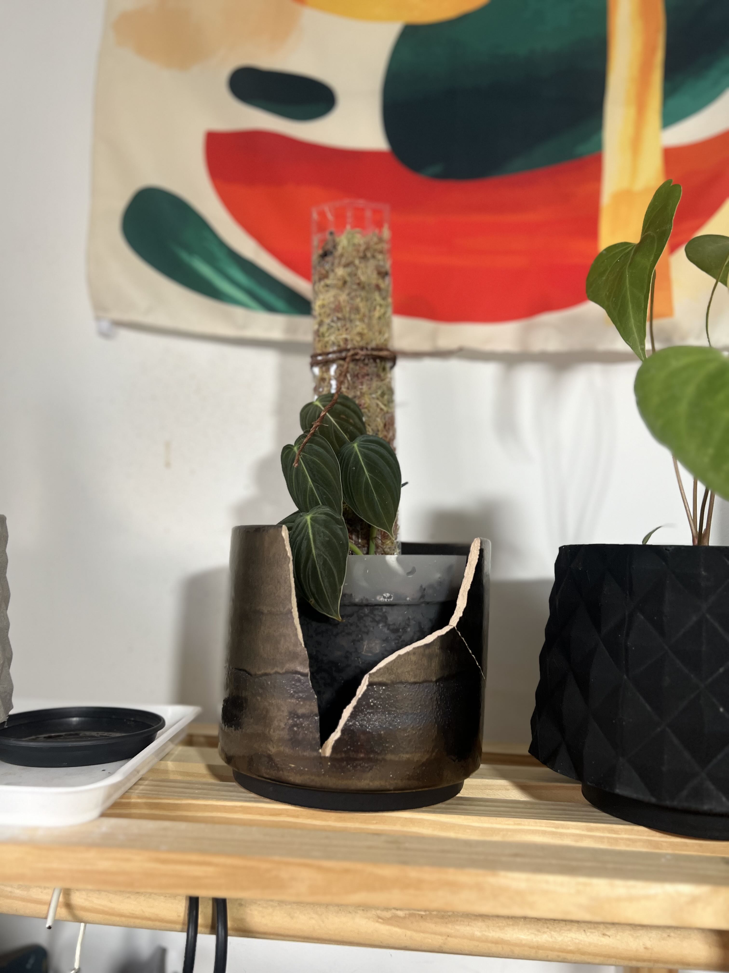 Photo from the post