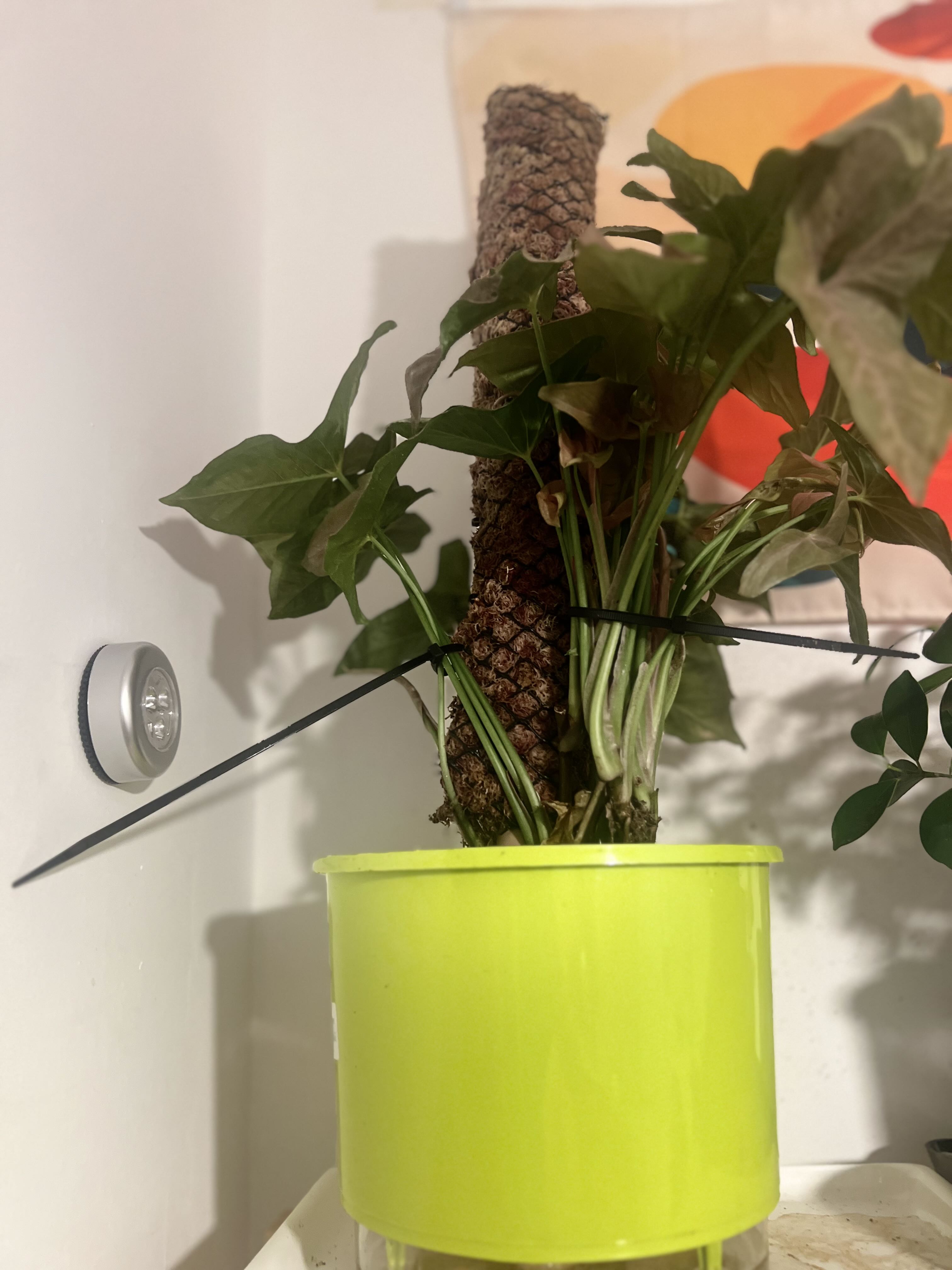 Photo from the post
