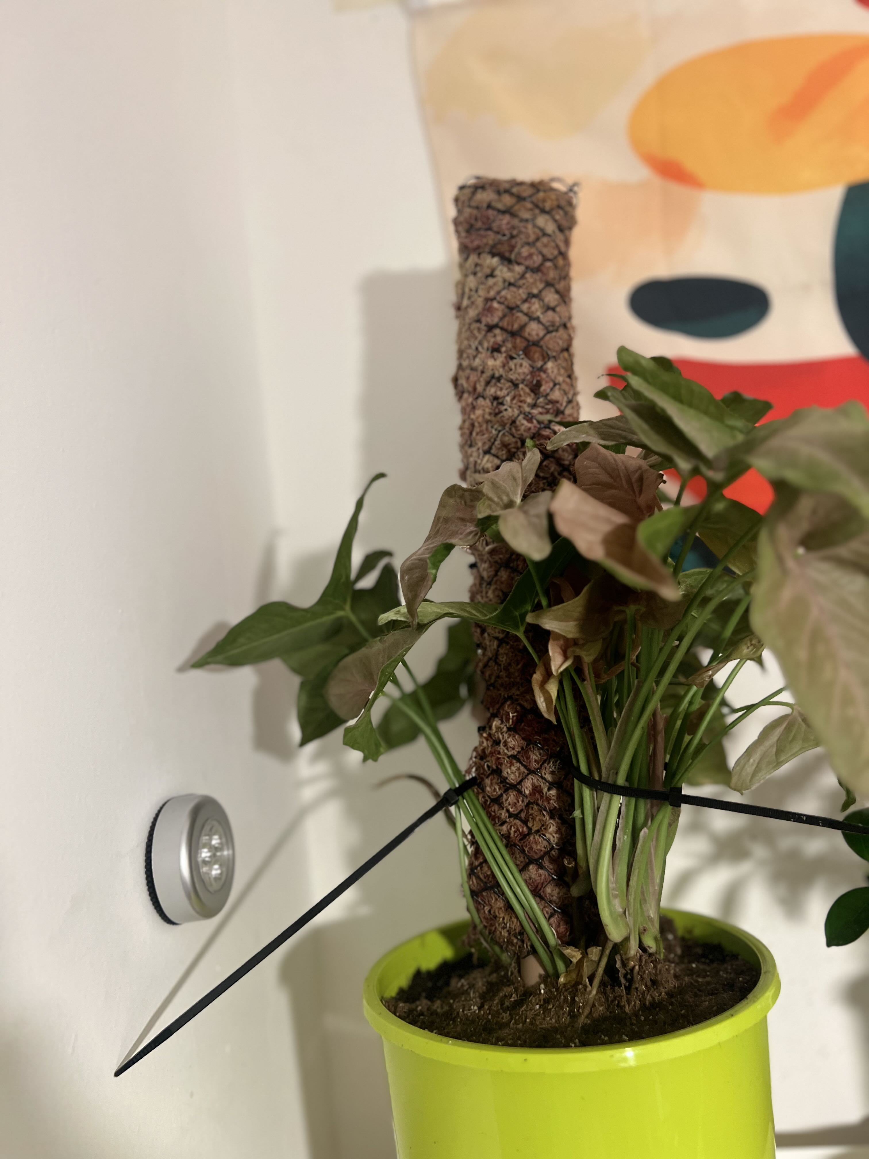 Photo from the post