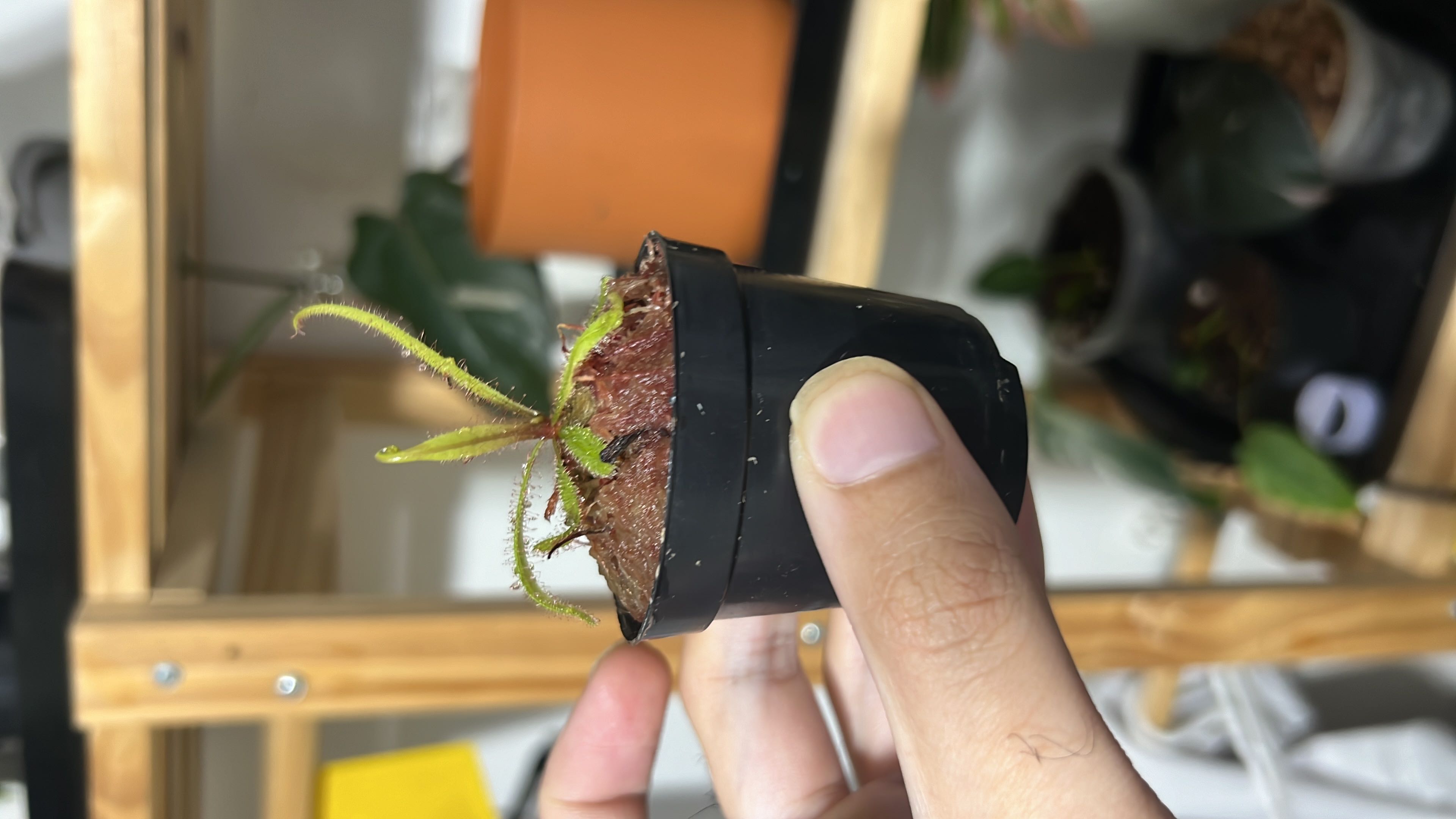 Photo from the post