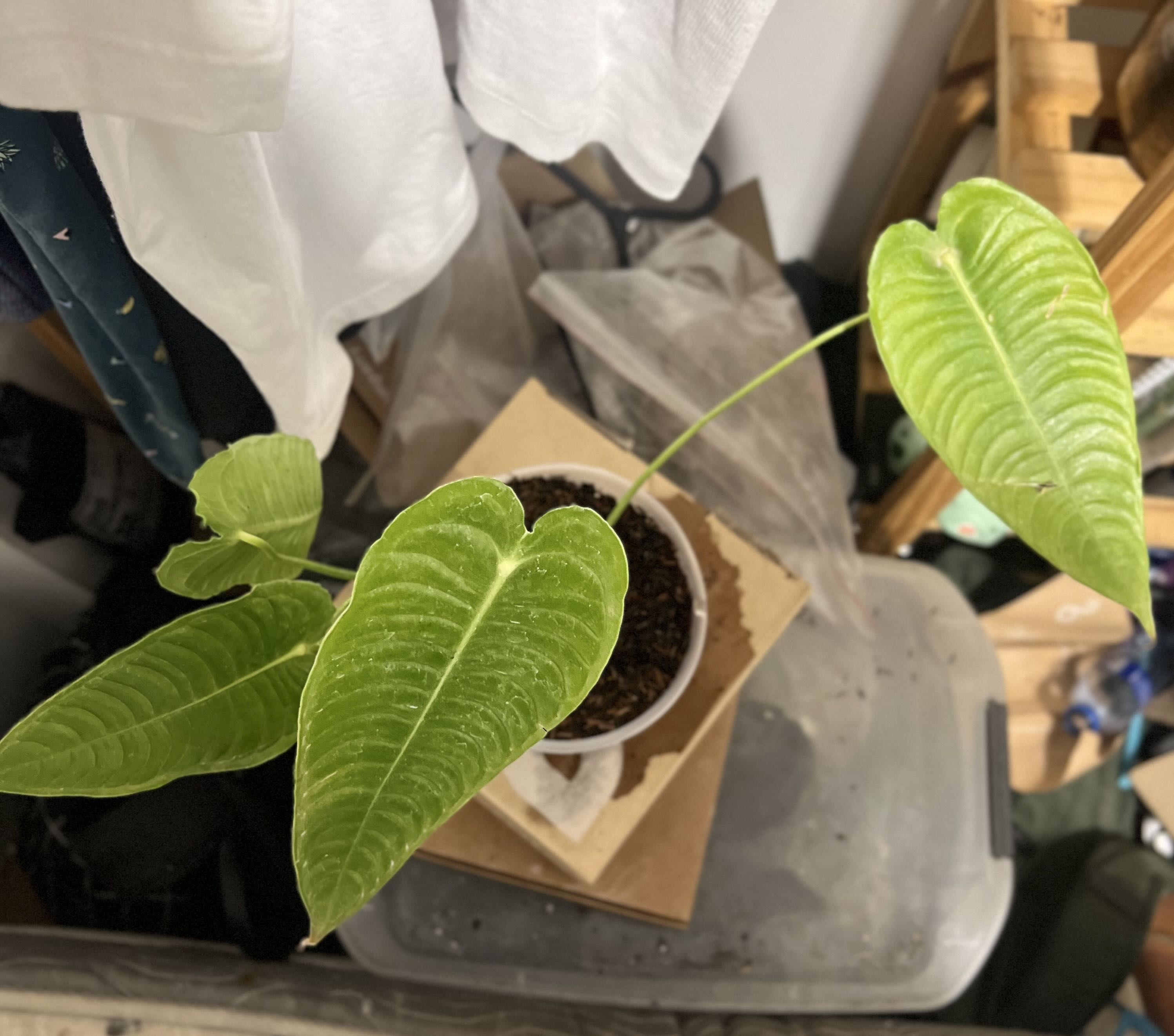 Photo from the post