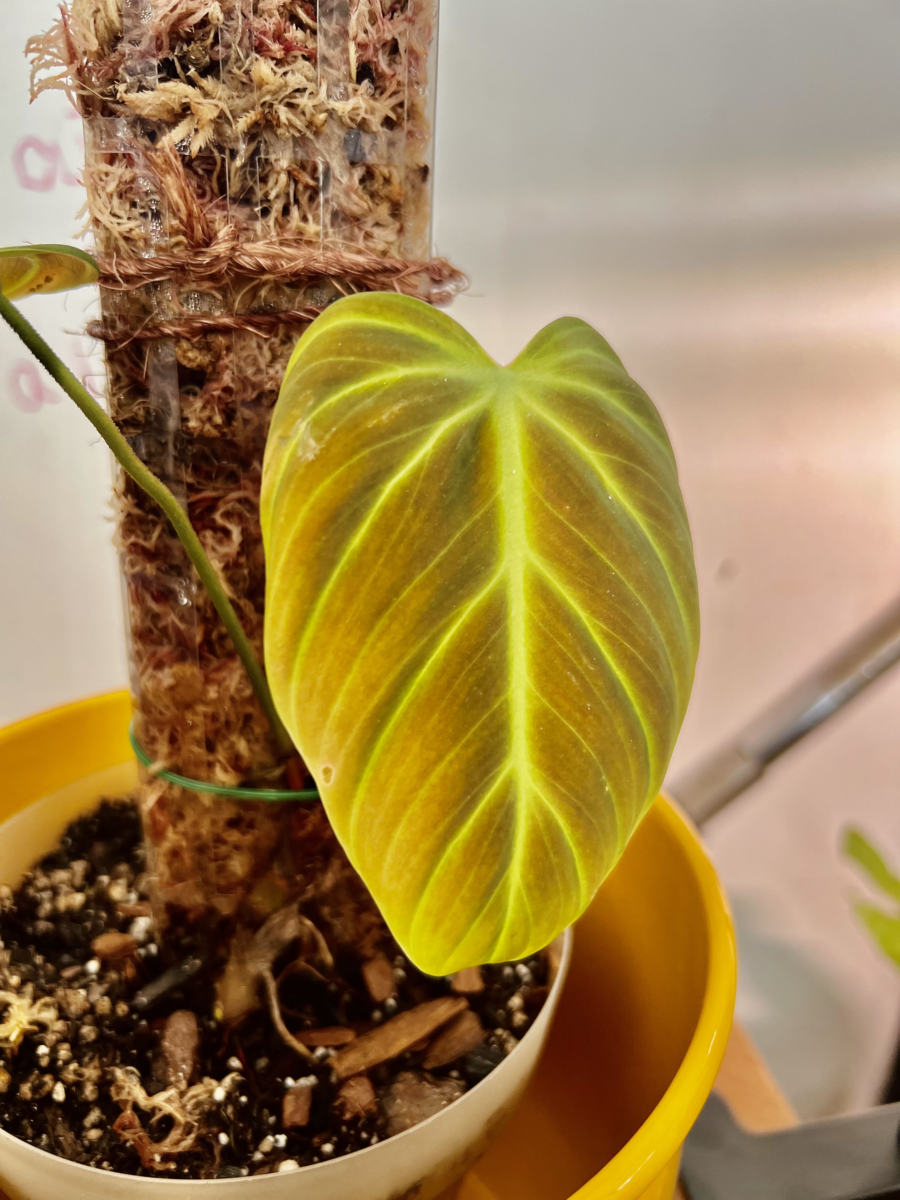 Photo from the post