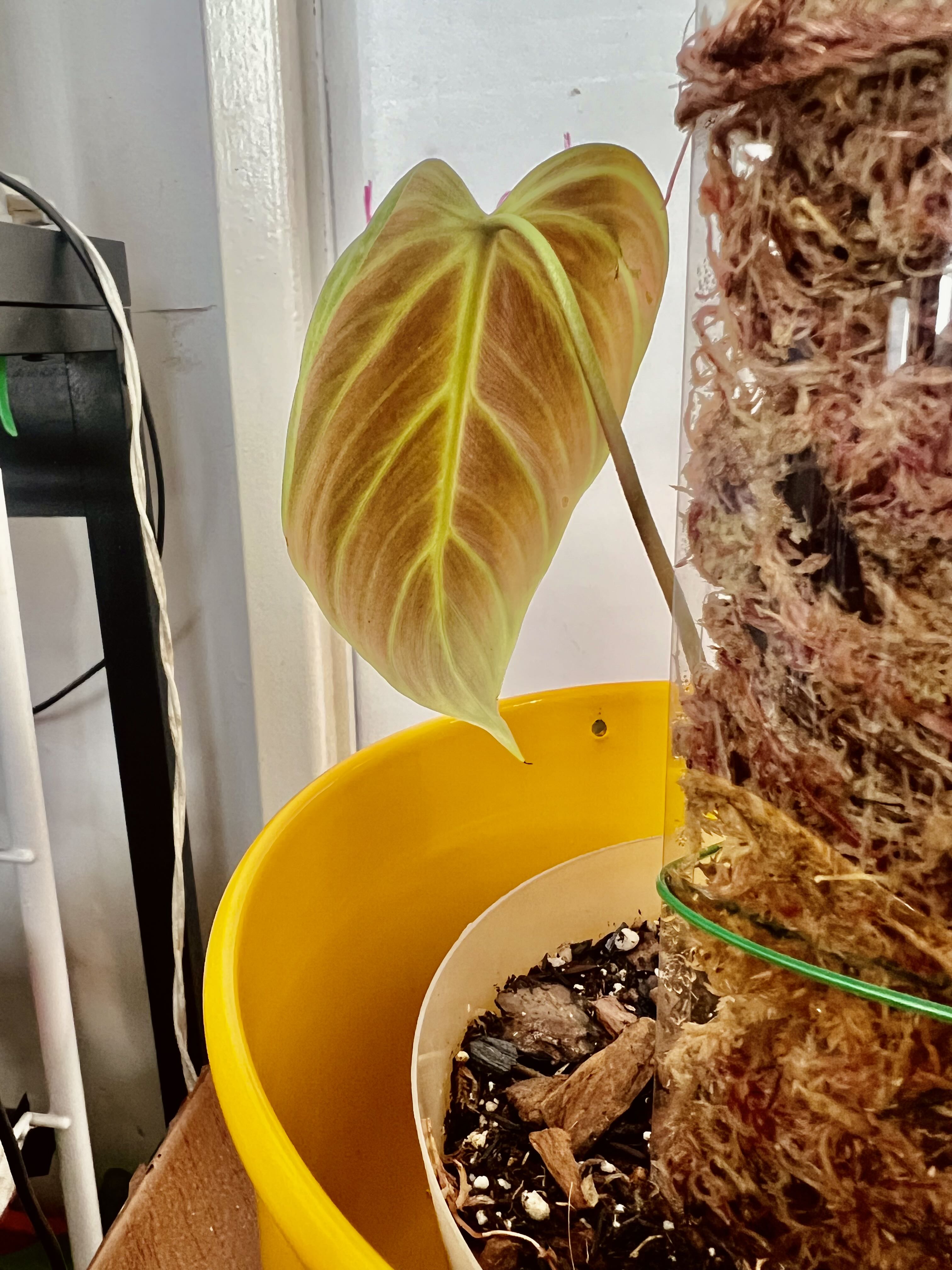 Photo from the post