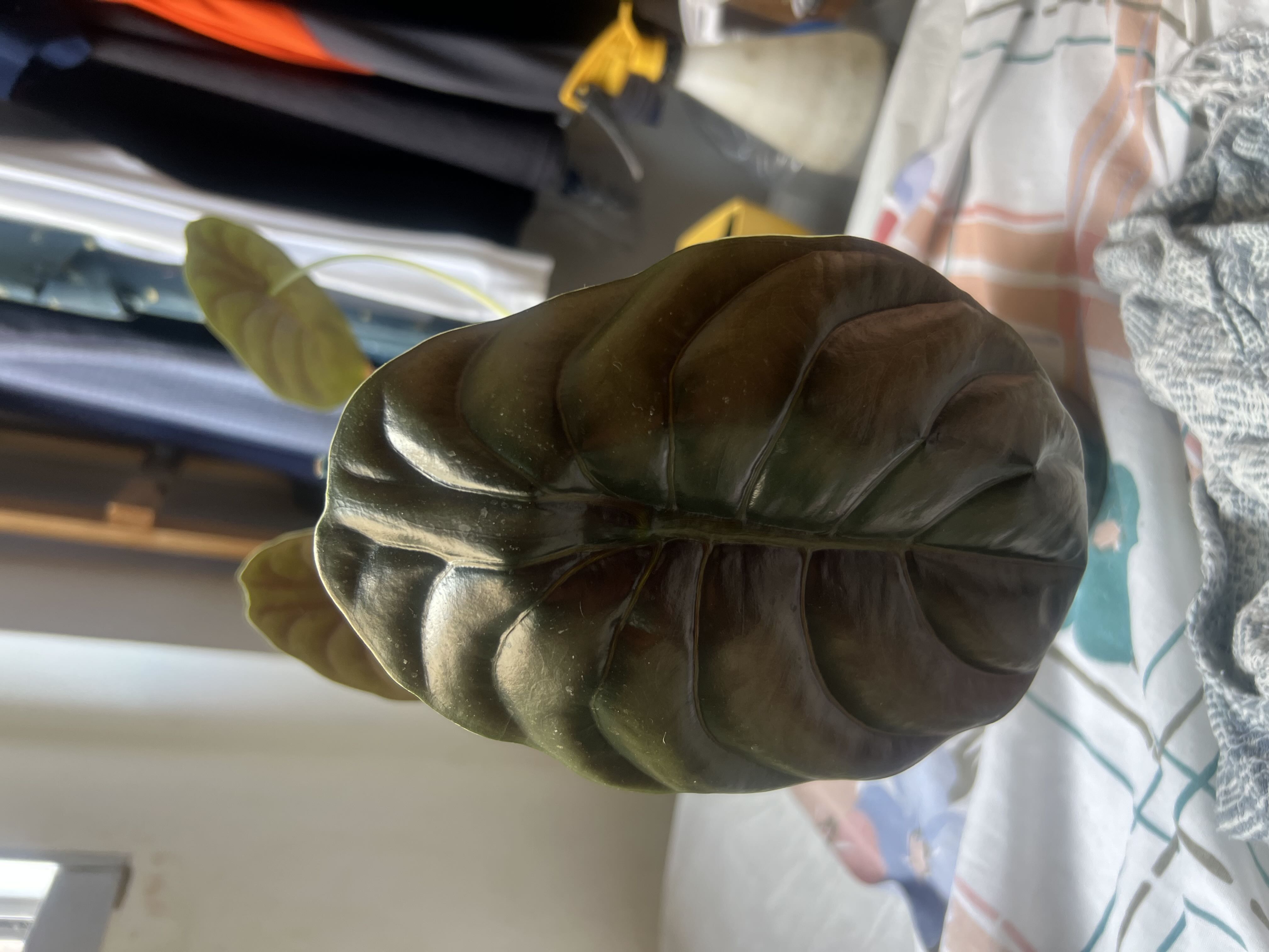 Photo from the post