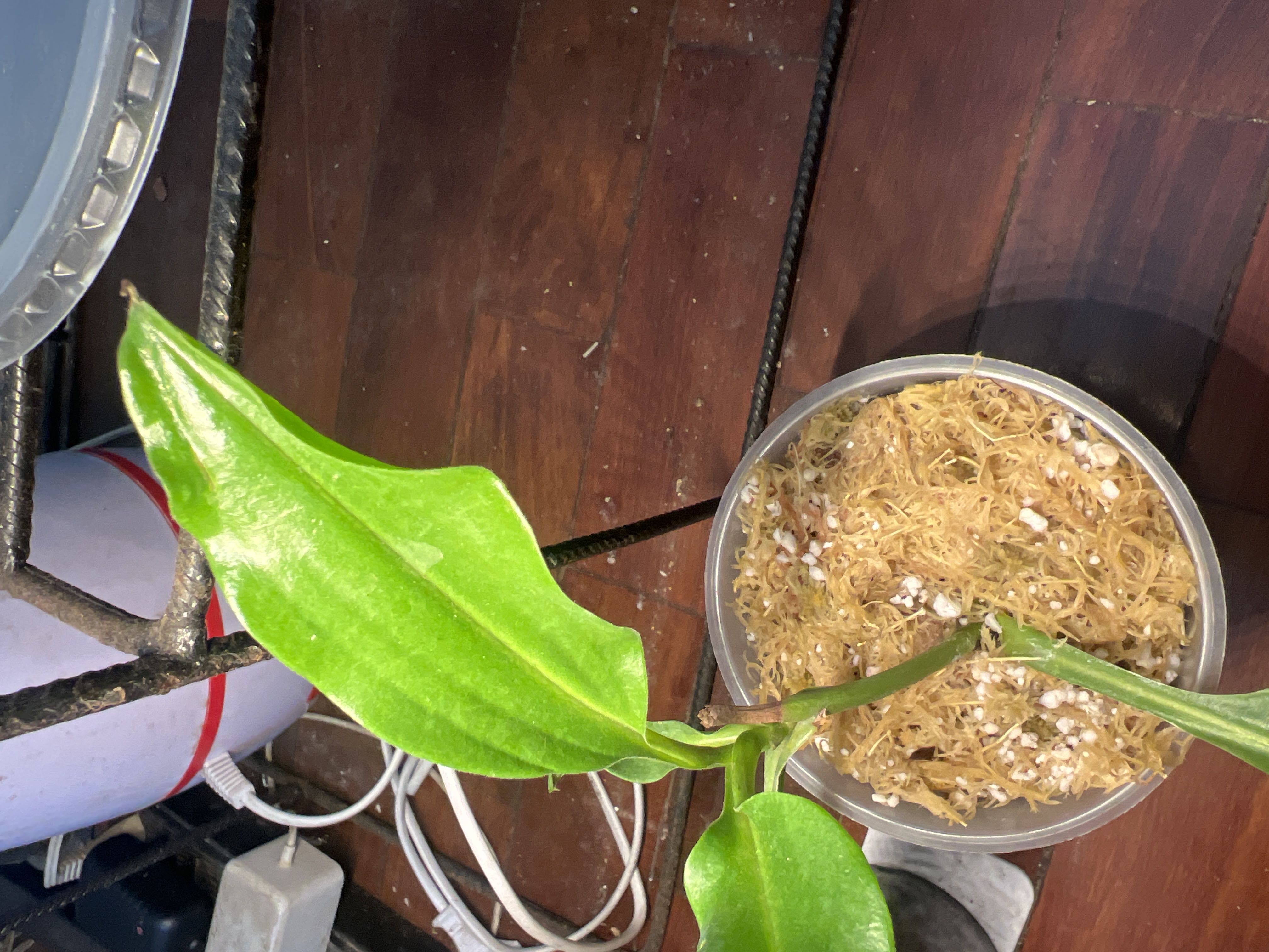 Photo from the post