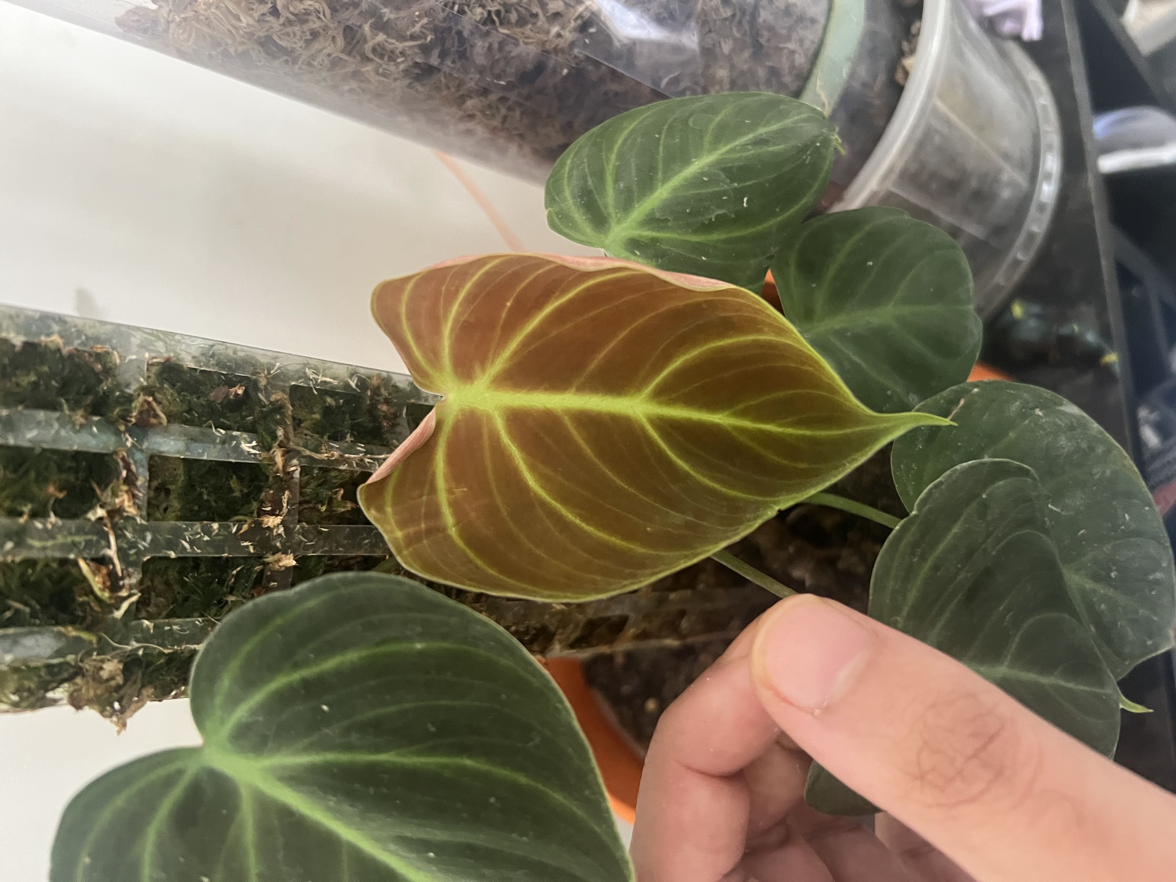 Photo from the post