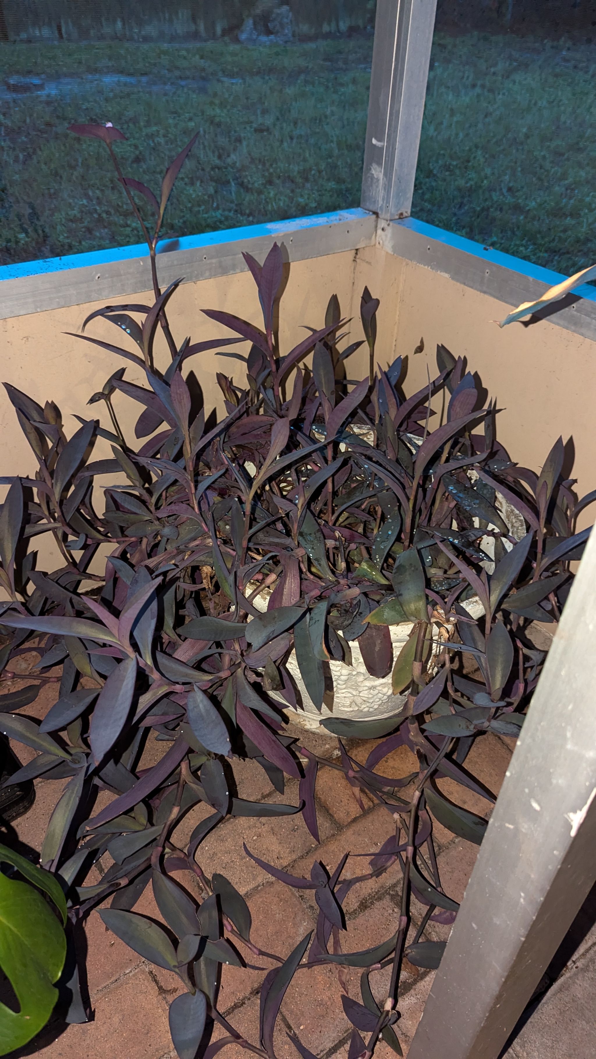 Photo from the post