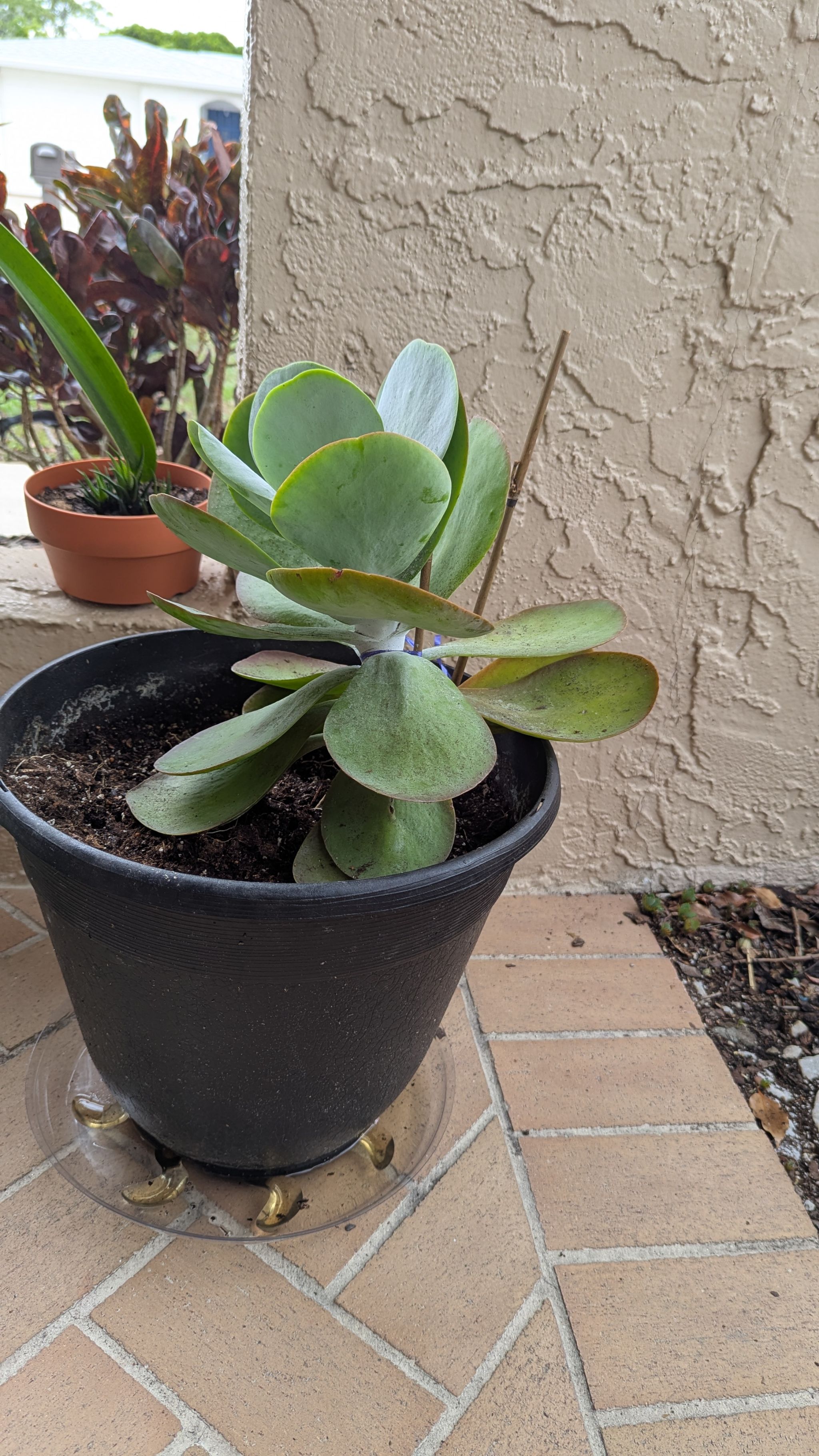 Photo from the post