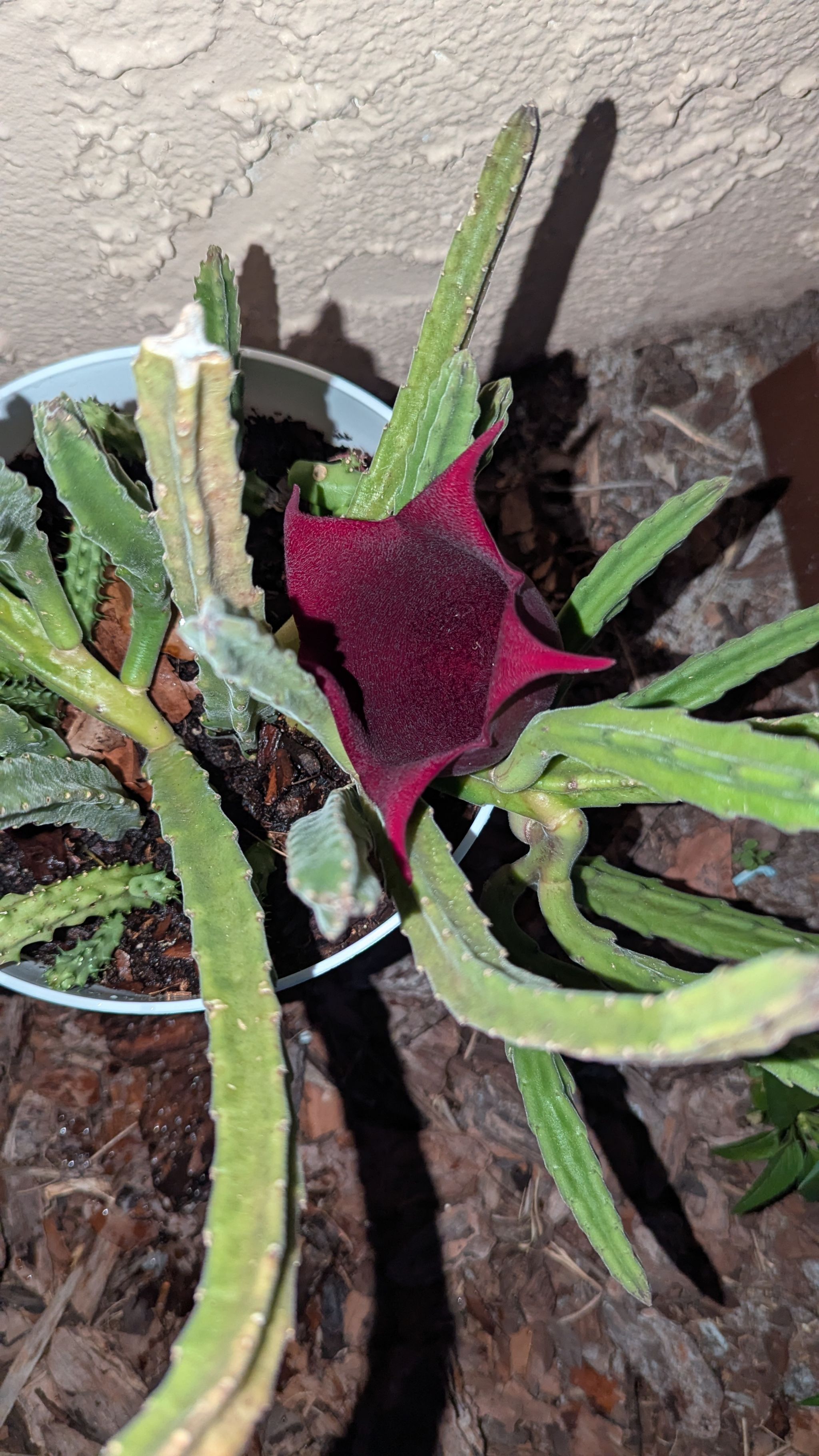 Photo from the post