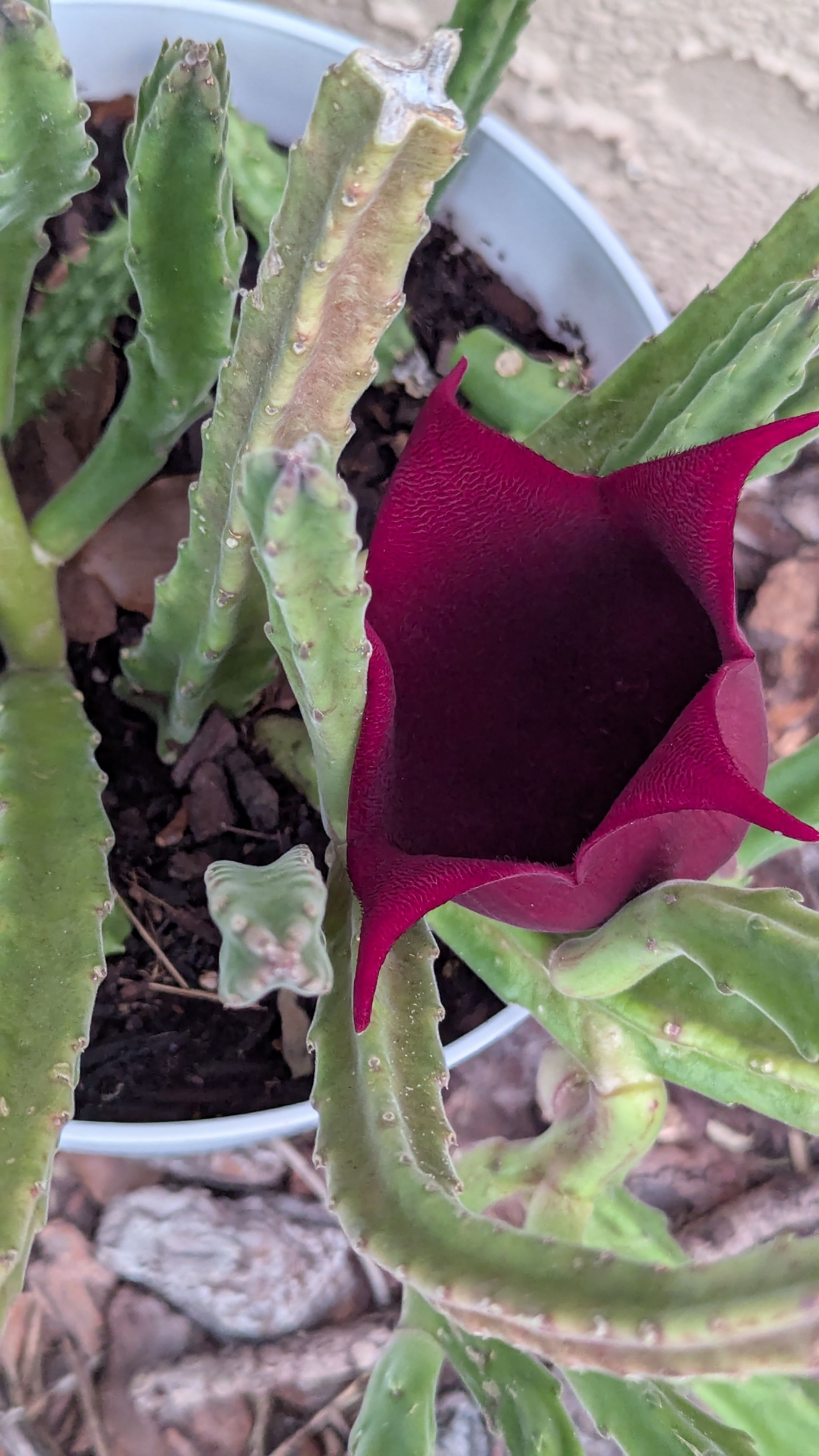 Photo from the post