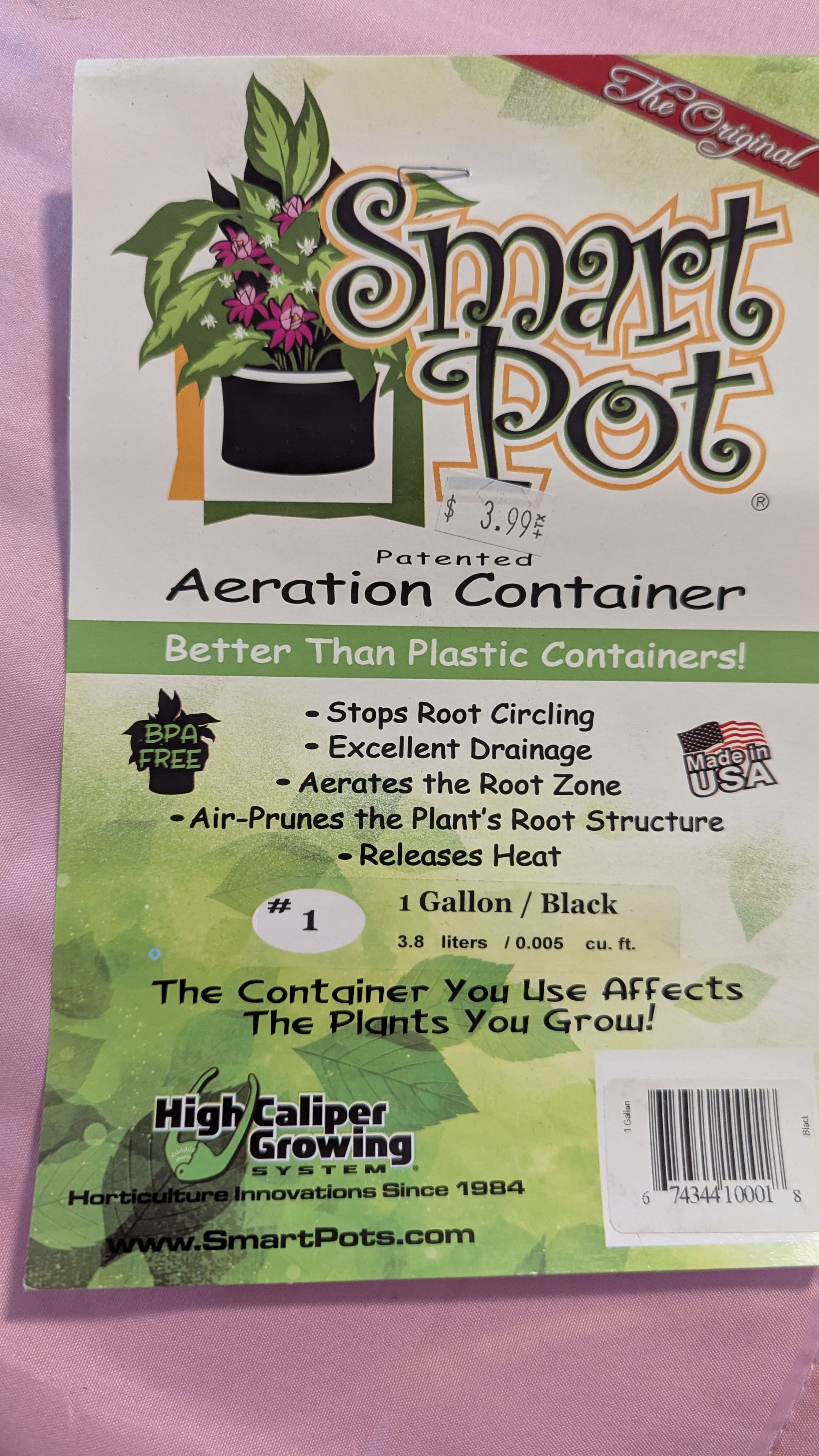 Photo from the post