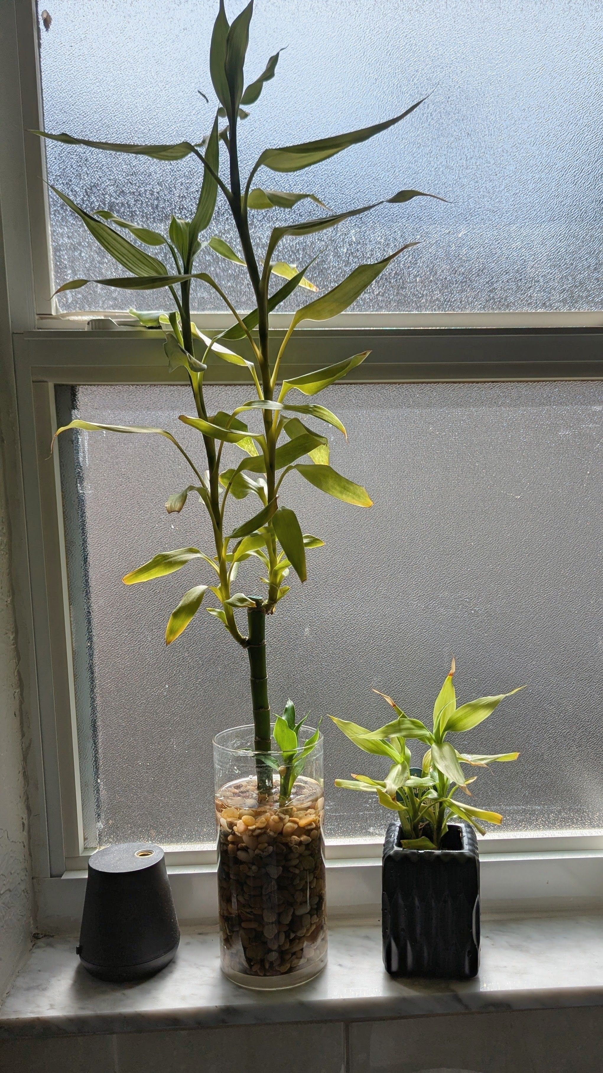 Photo from the post
