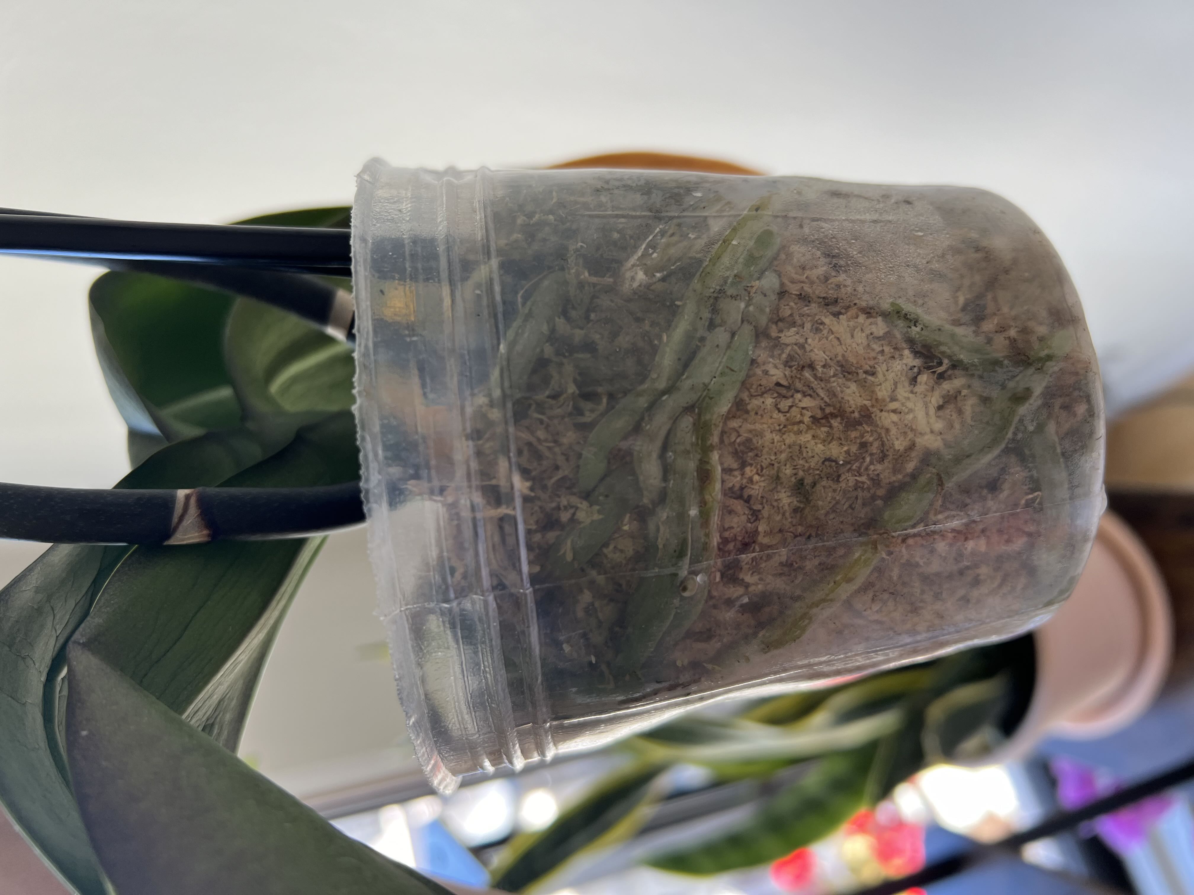 Photo from the post