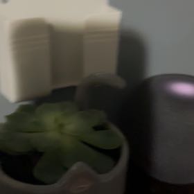 Photo of the plant species Echeveria by @PetLopsidedoat named Harry on Greg, the plant care app