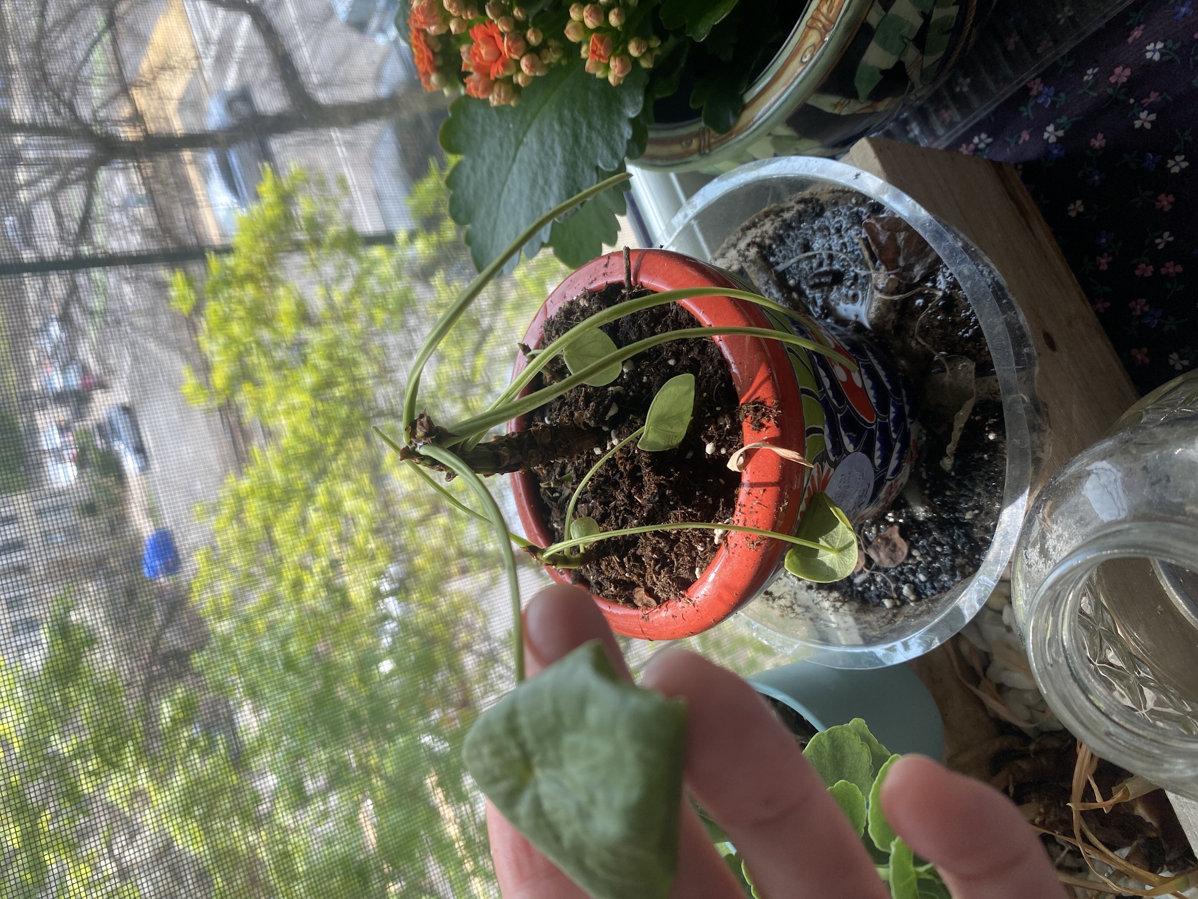 Photo from the post