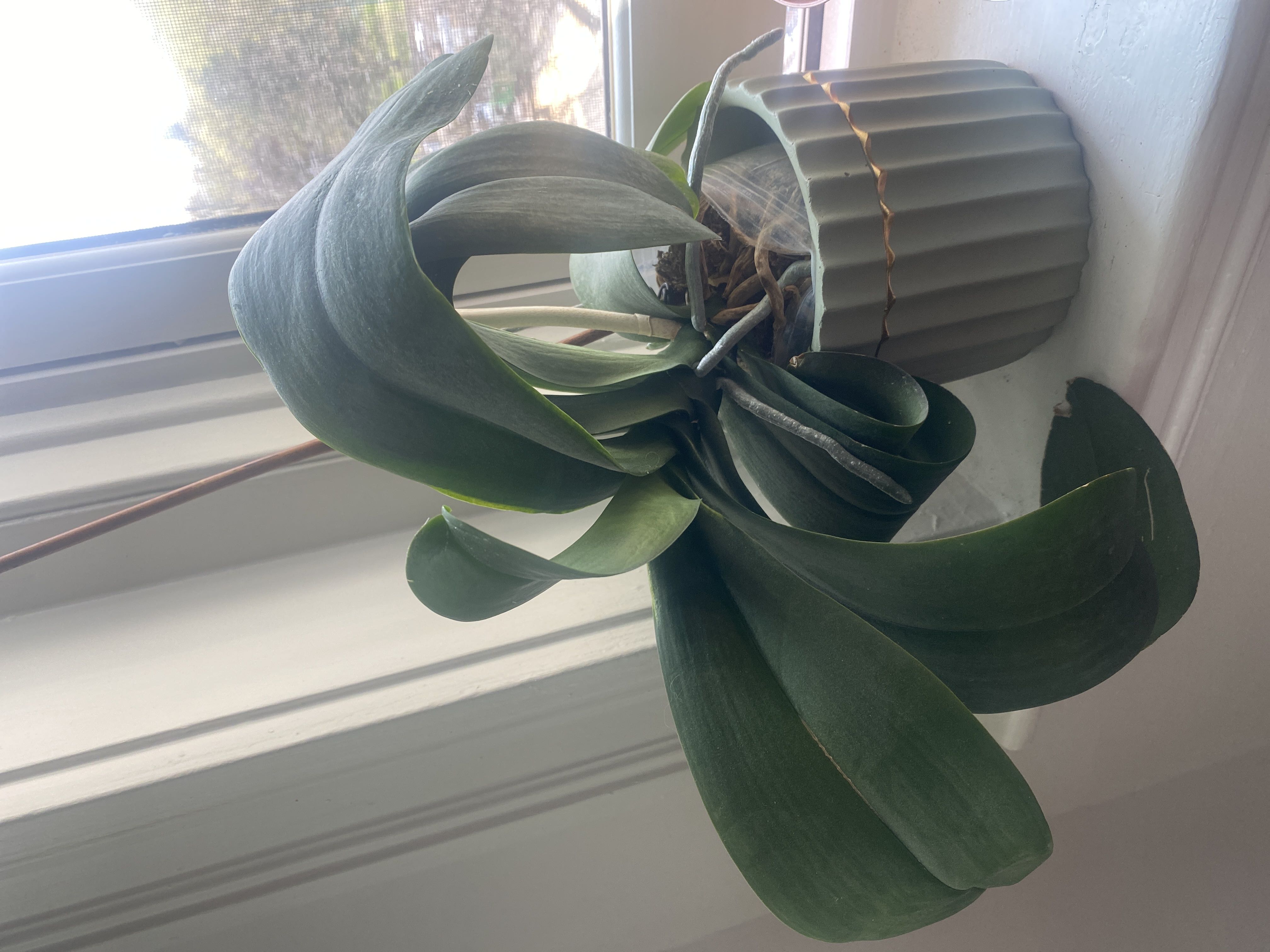 Photo from the post