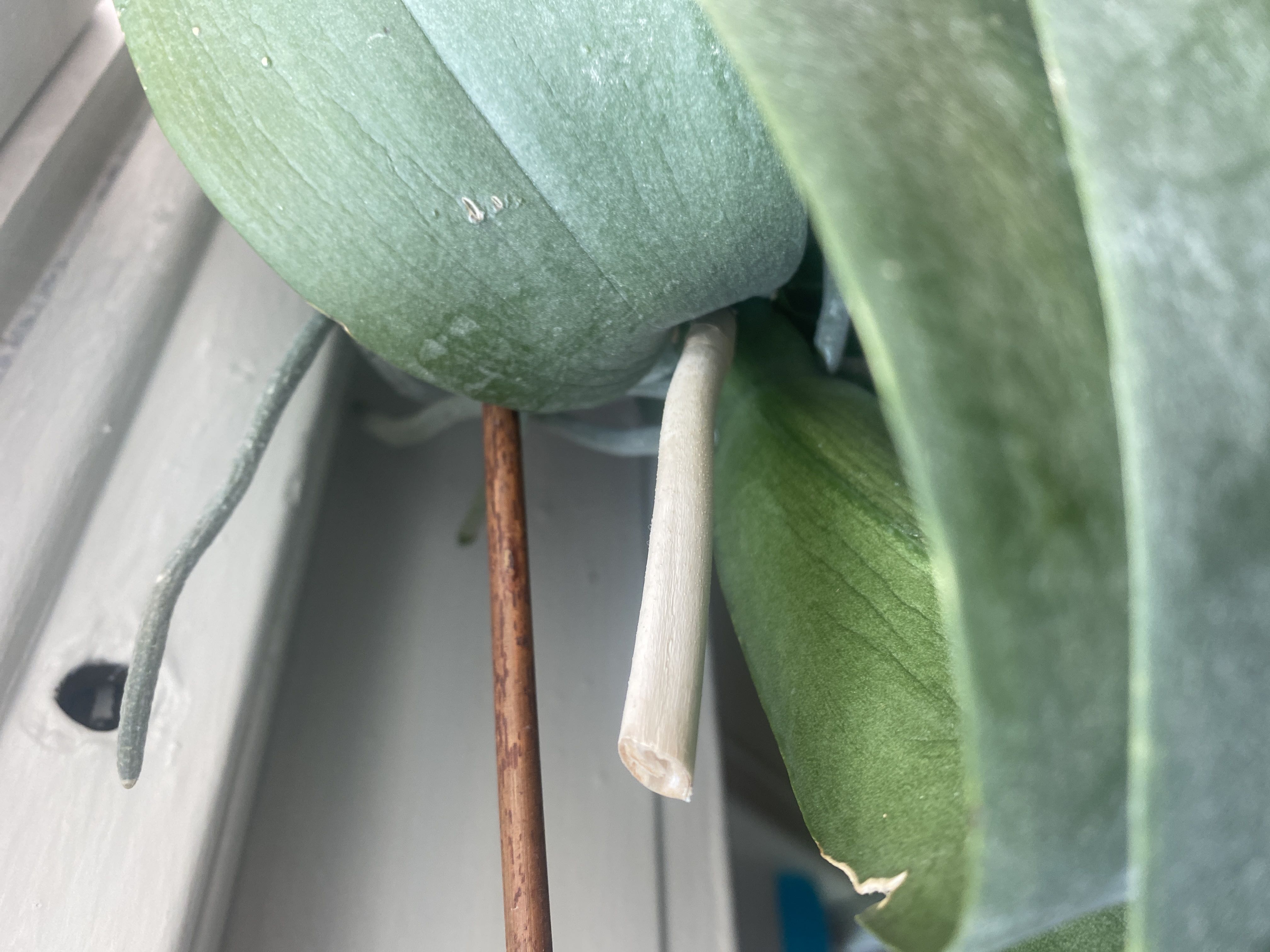 Photo from the post