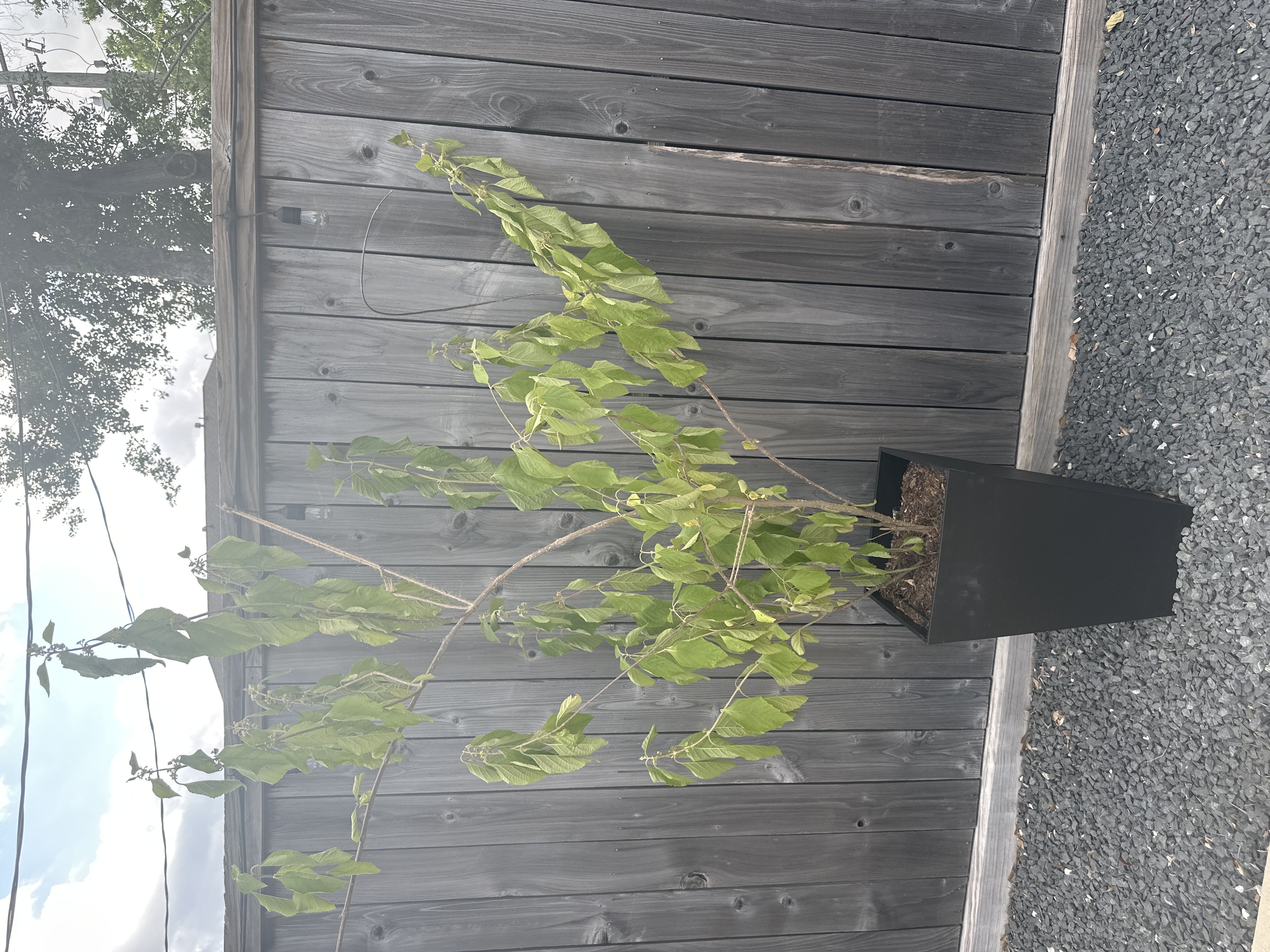 Photo from the post