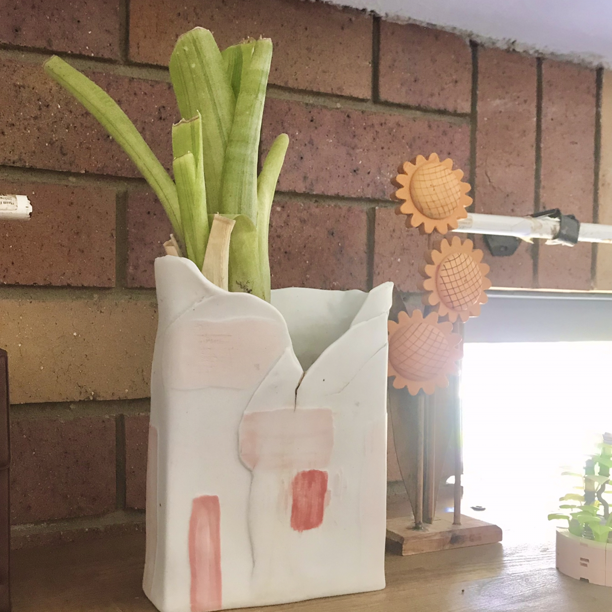 Potted Queen's Tears plant with long green leaves on a shelf against a brick wall.