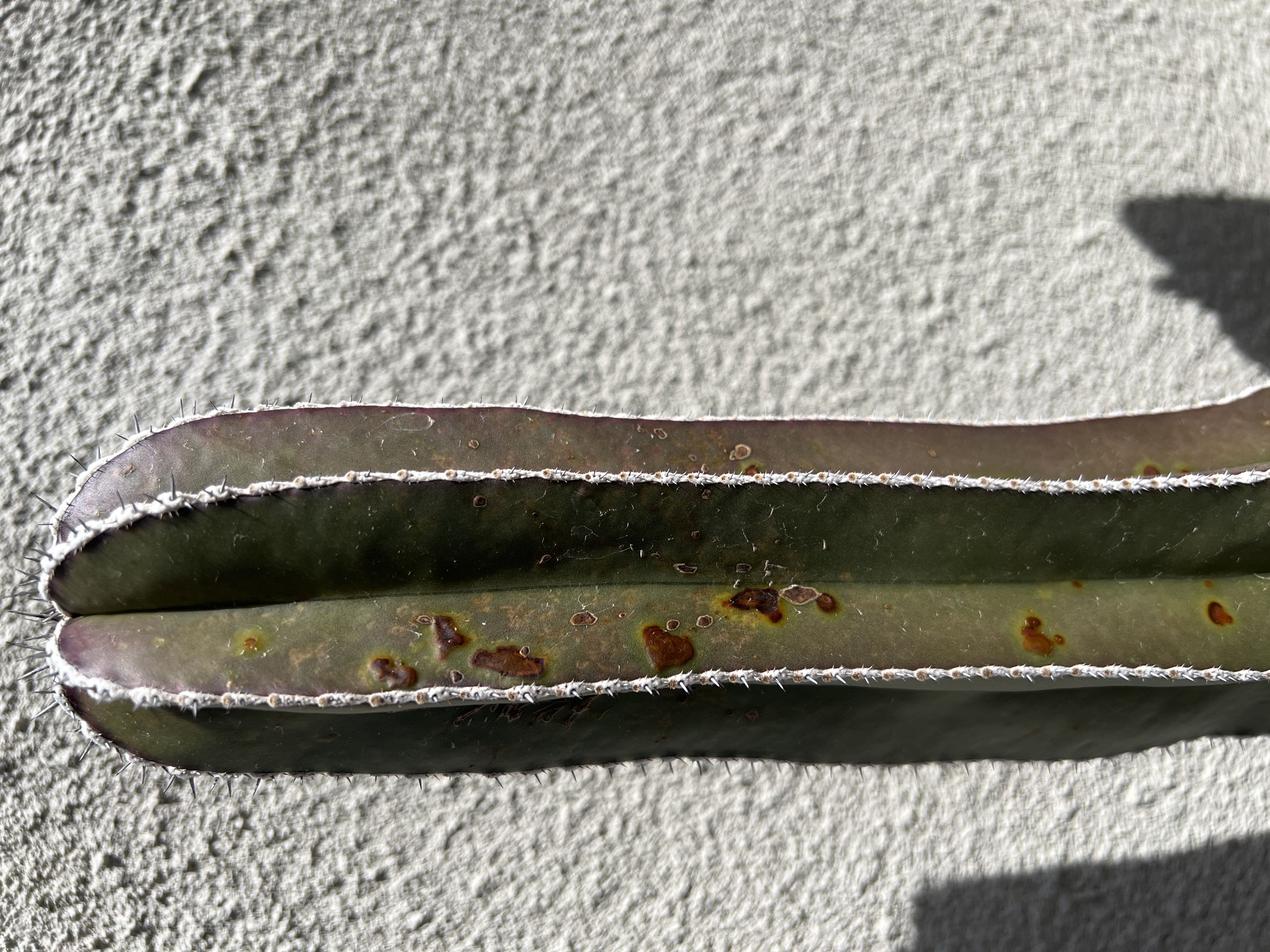Photo from the post