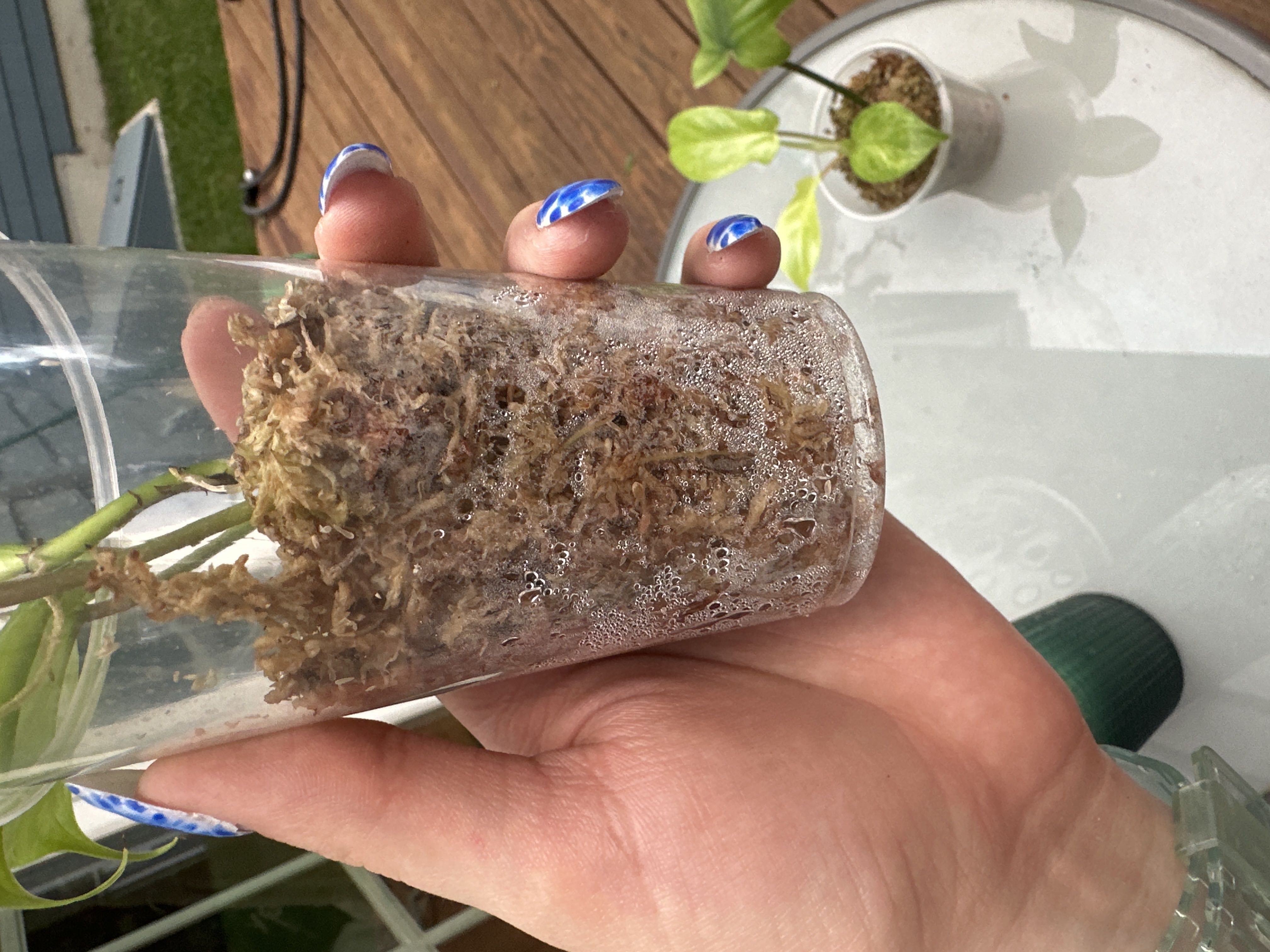 Photo from the post