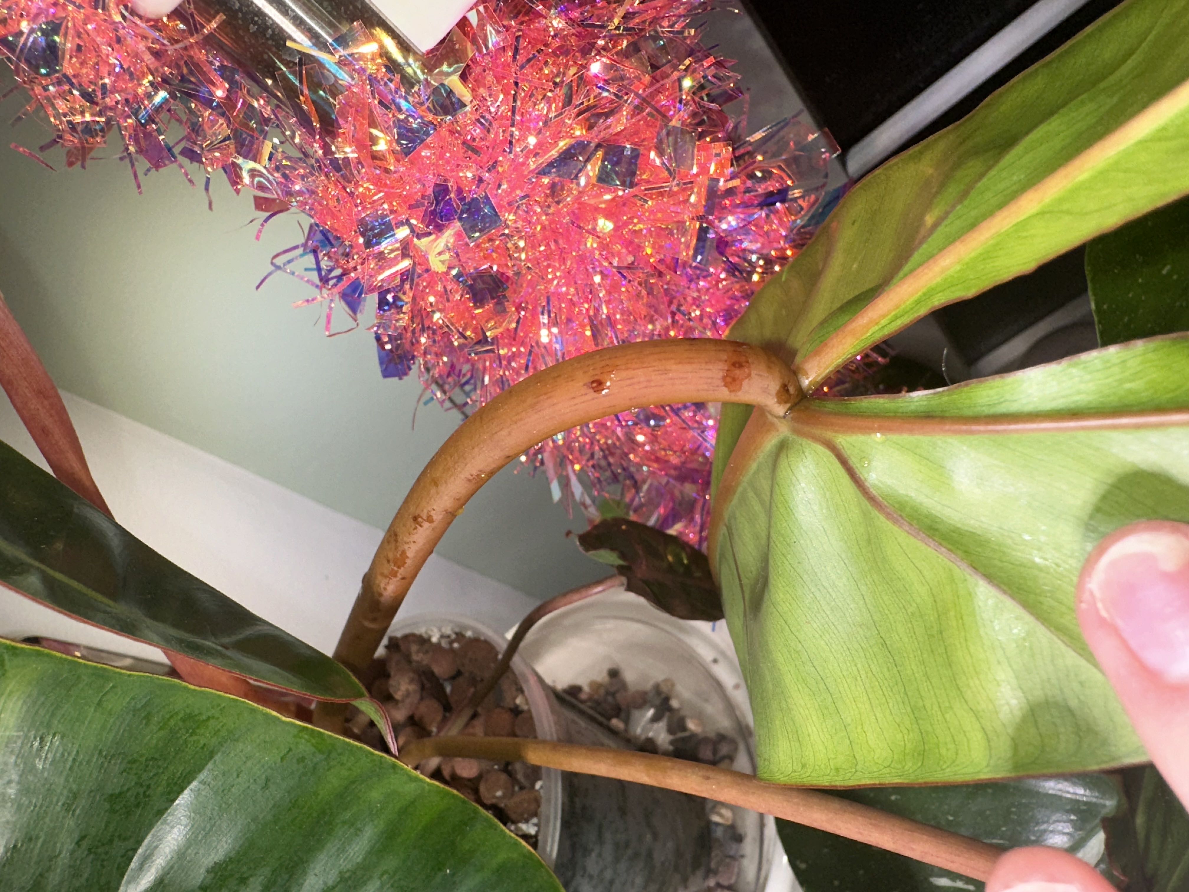 Photo from the post