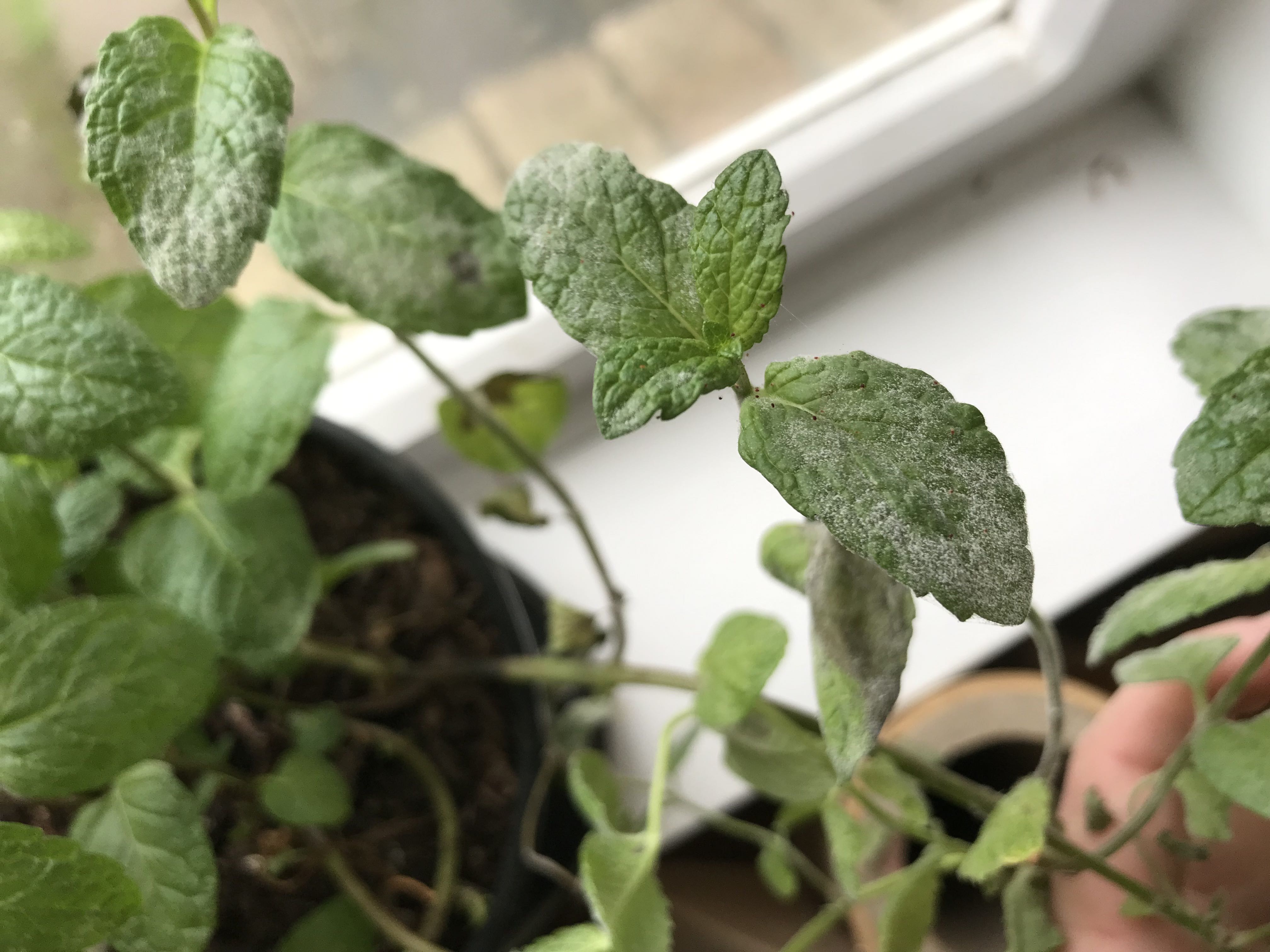 Photo from the post