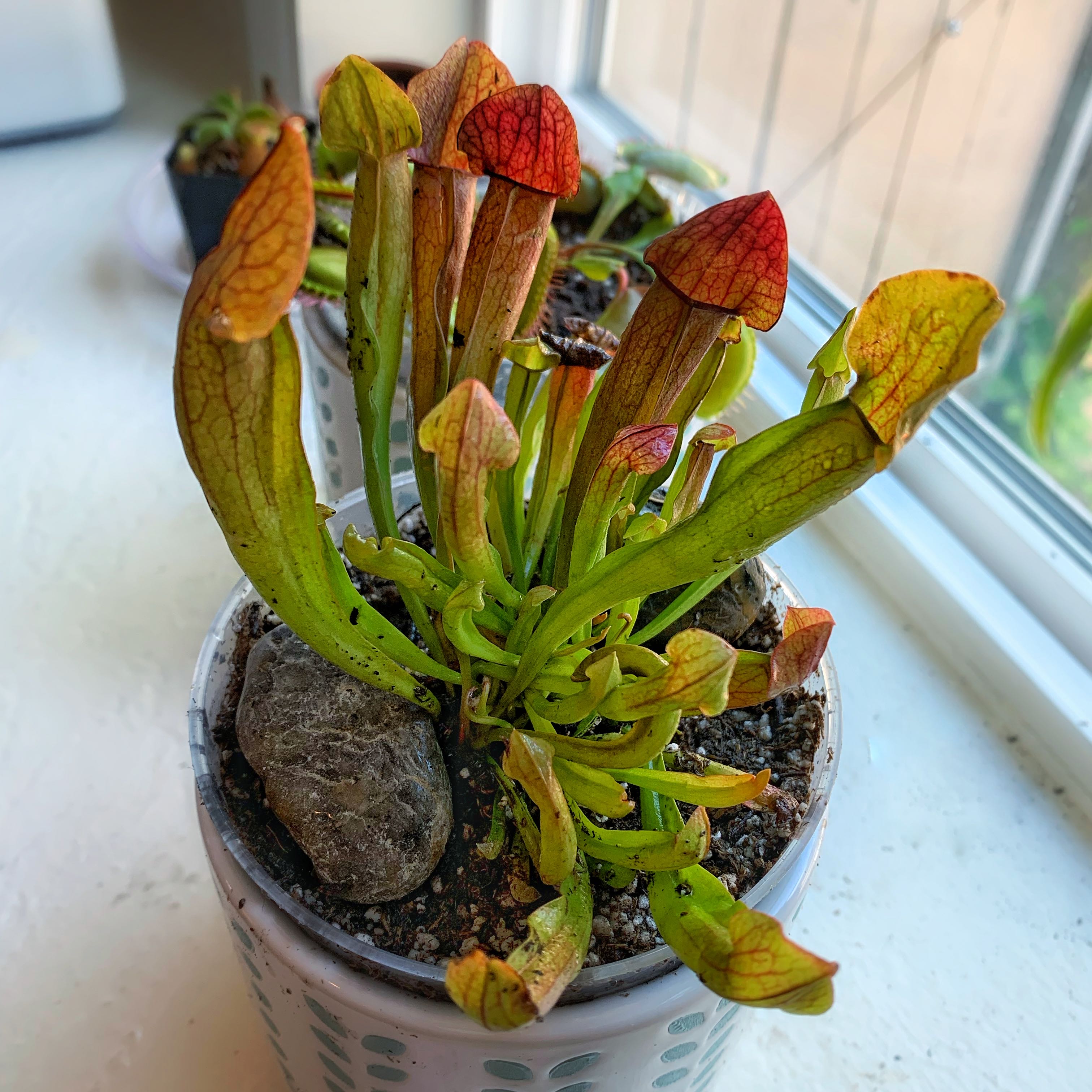 Photo from the post