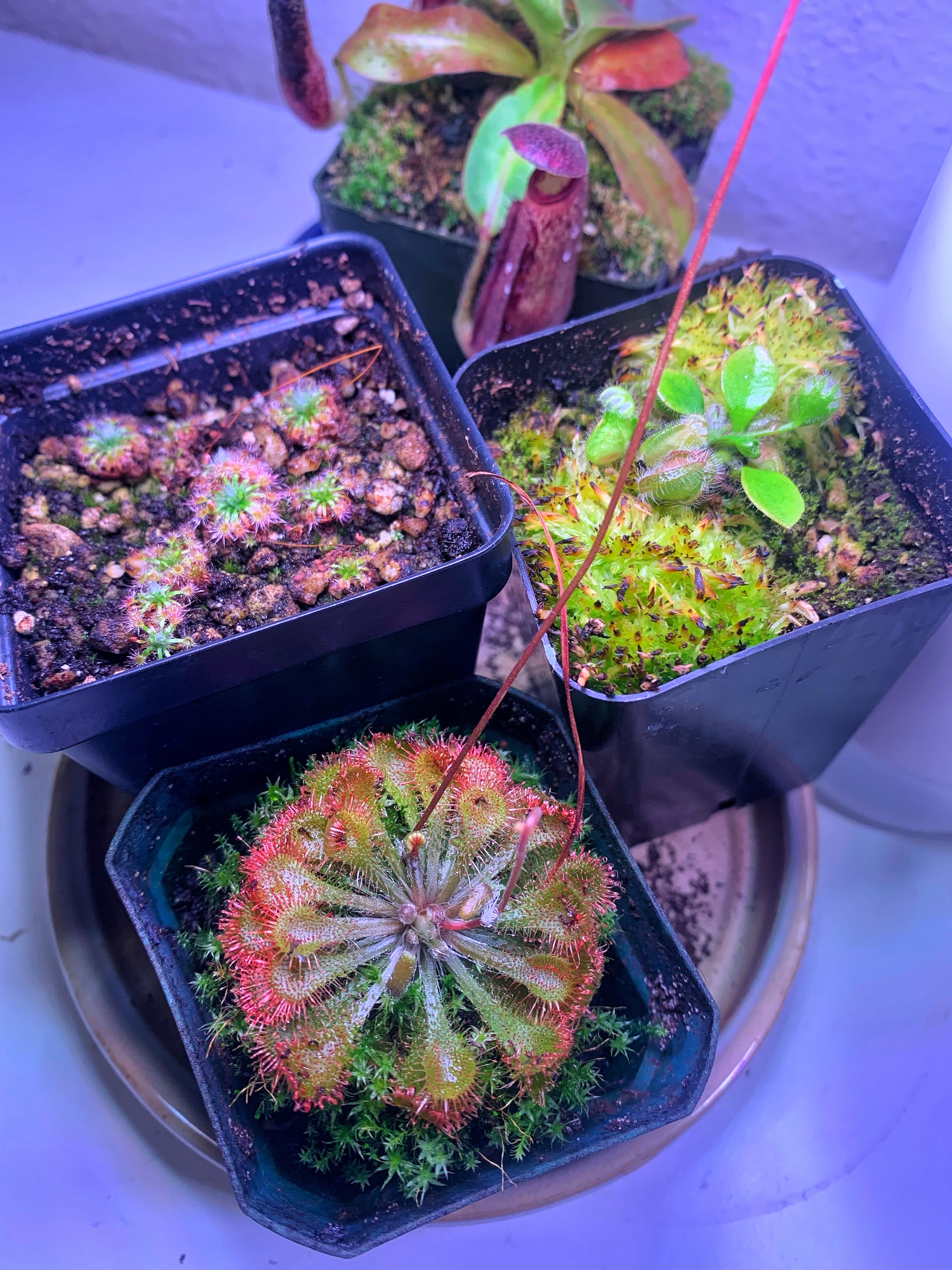 Photo from the post